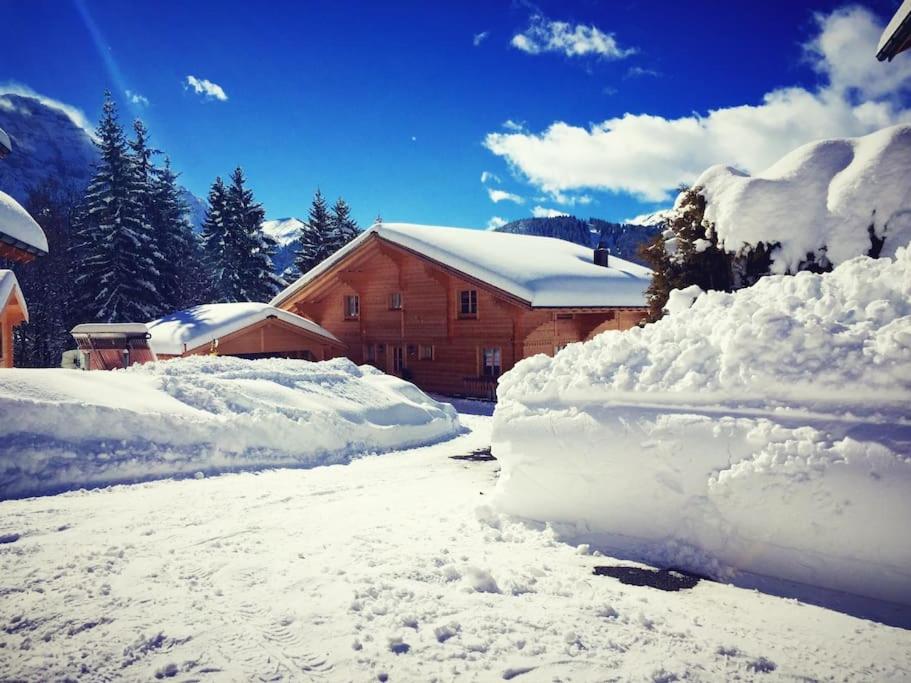 Luxury chalet in Les Diablerets Villars ski area