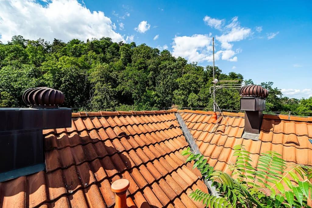 roof