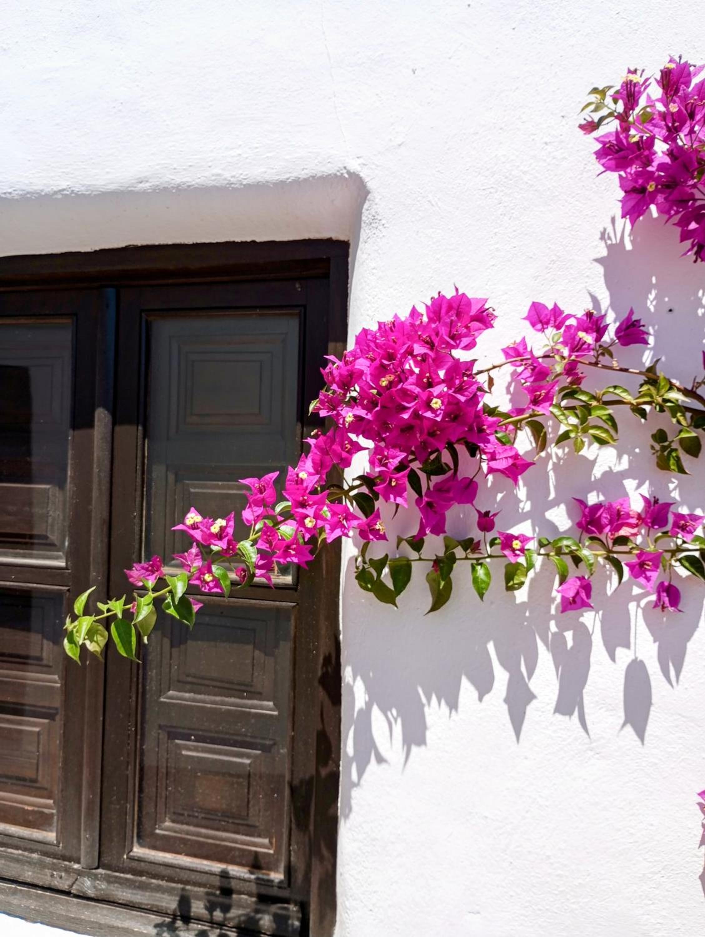 Casa Miguel Montefrio