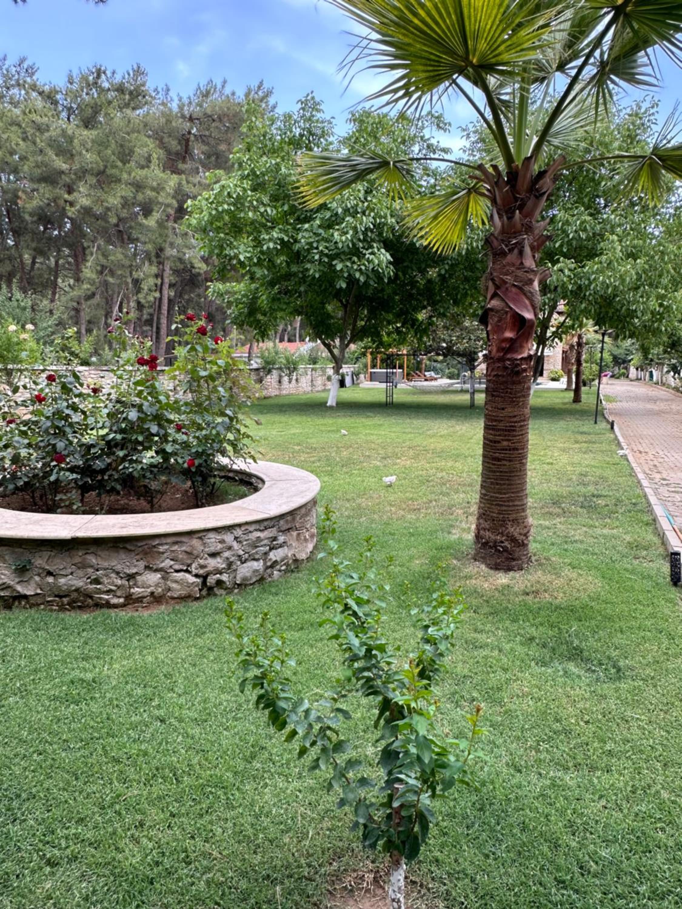 Sarob Home Ultralüx Tasev view 3