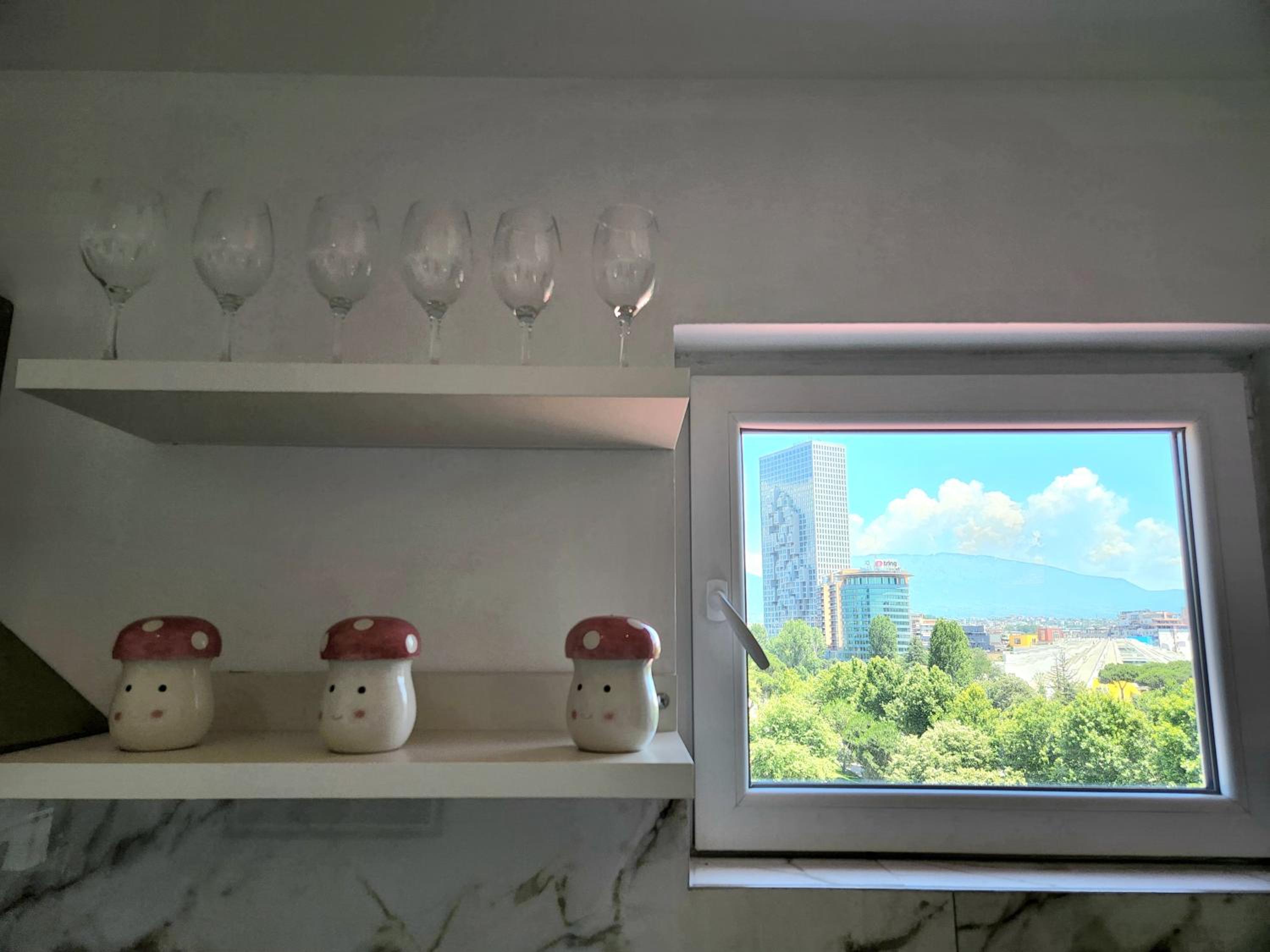 Tirana City Center Penthouse Oasis