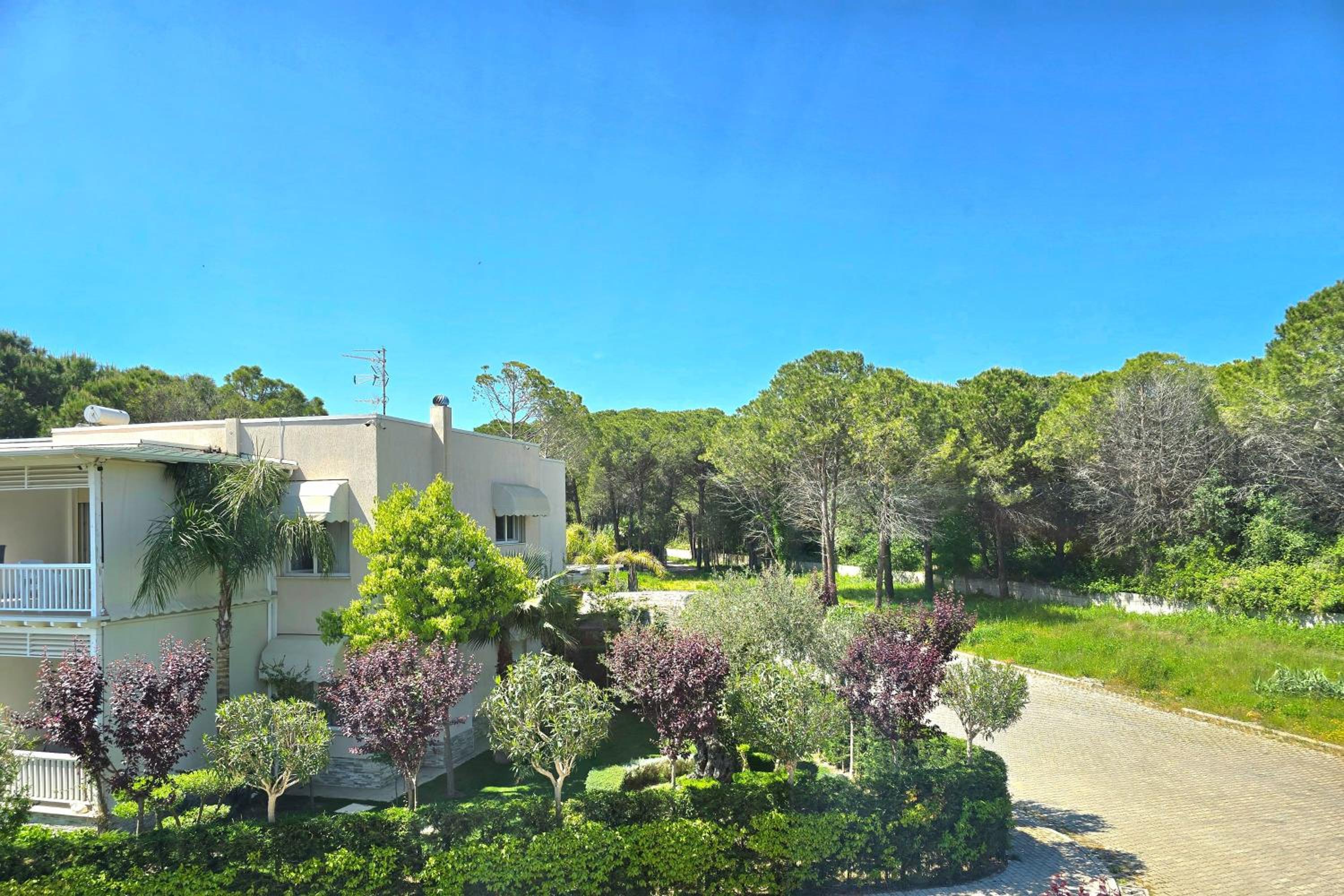 Sunny Beach Apartments - 162