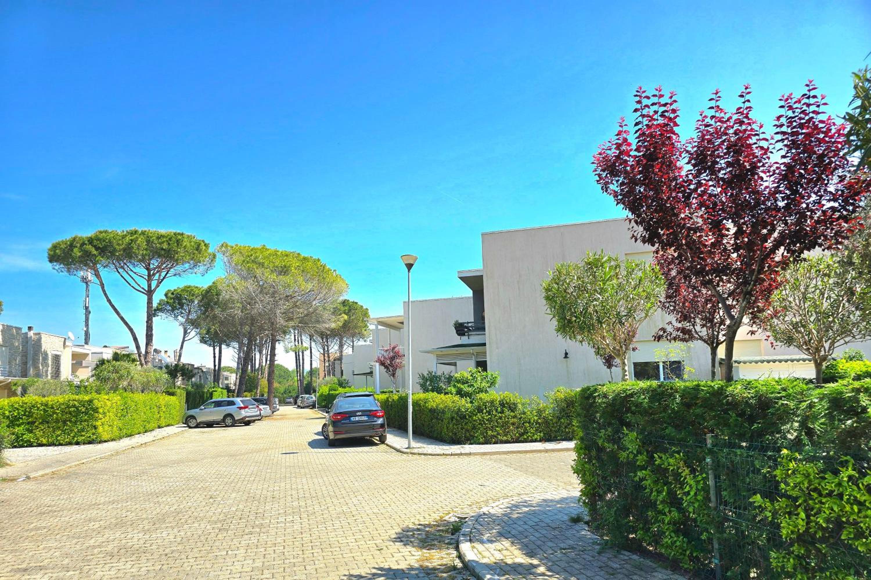 Sunny Beach Apartments - 162