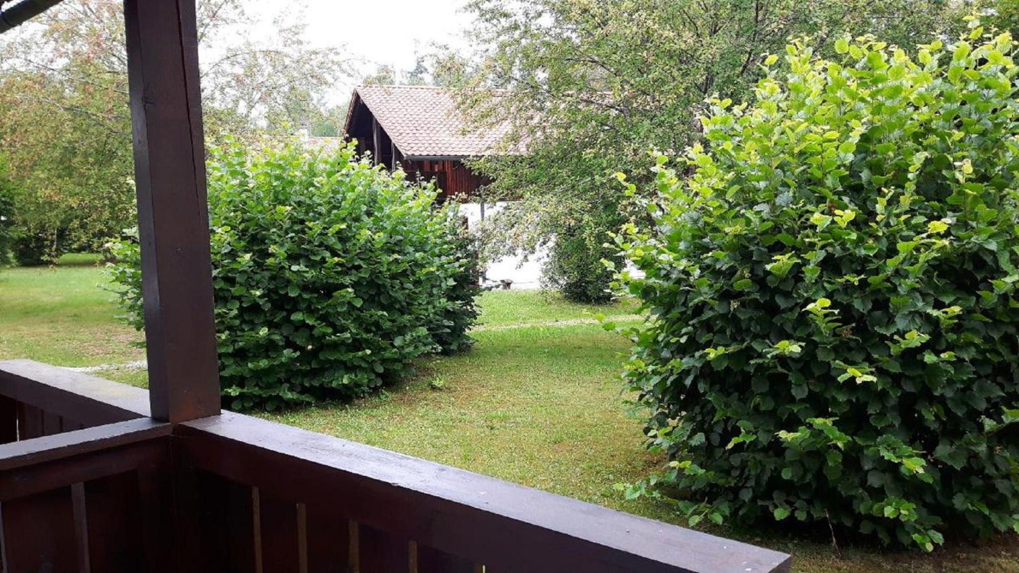 Ferienhaus Virzi - Waldferiendorf Regen