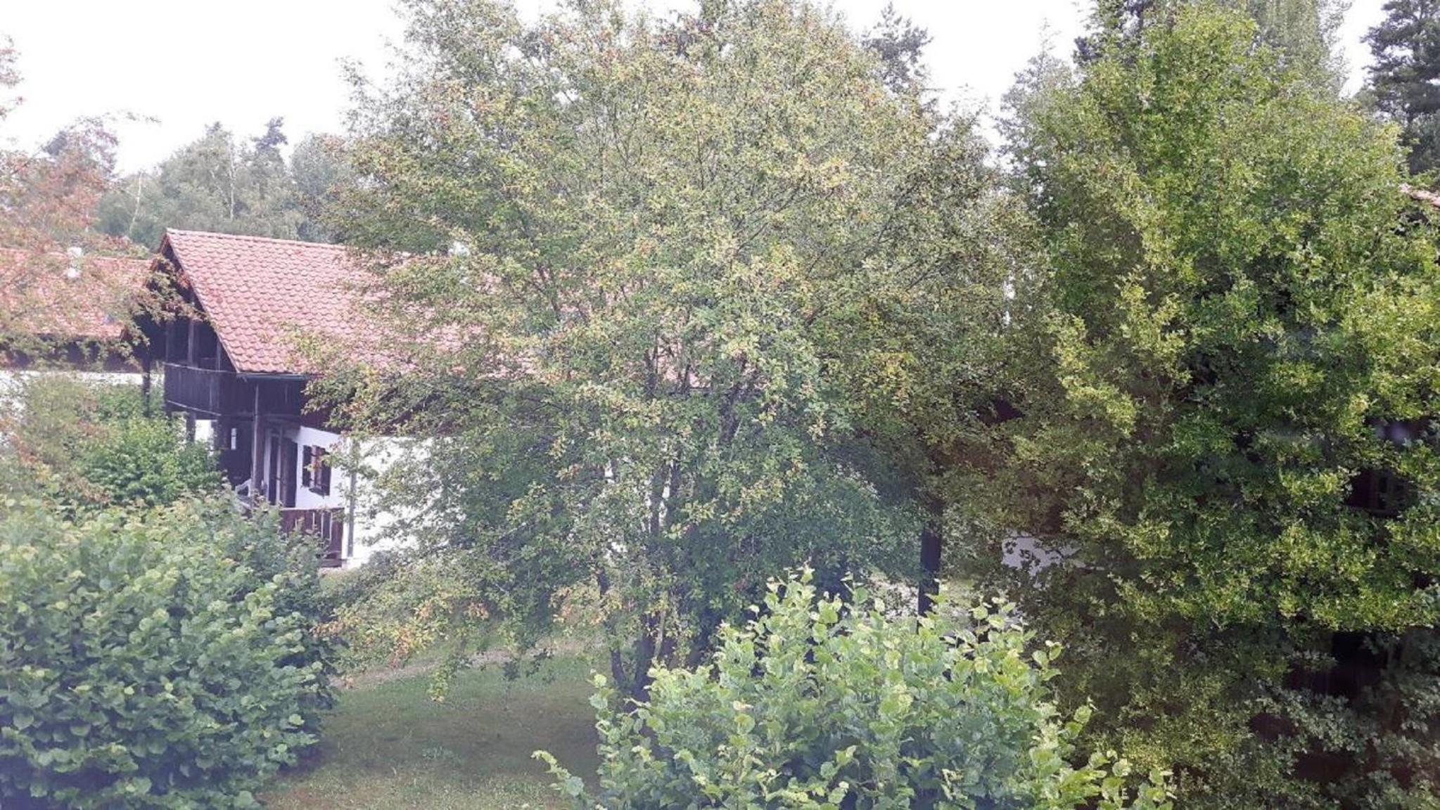 Ferienhaus Virzi - Waldferiendorf Regen