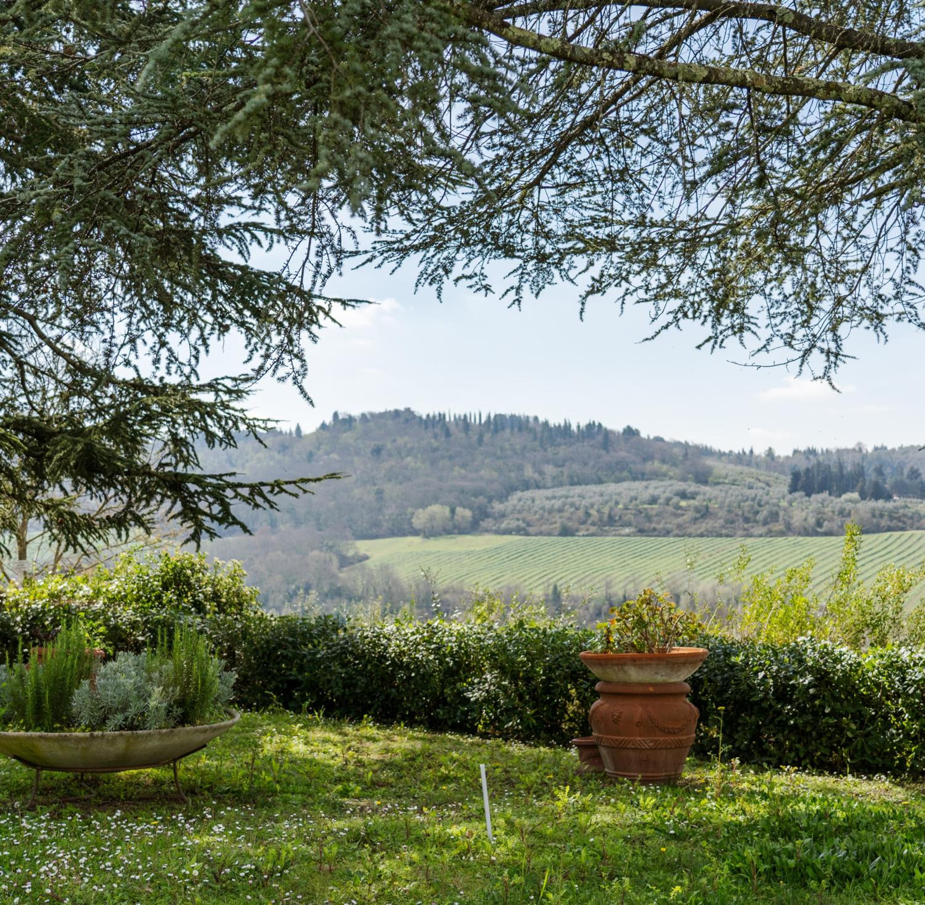 I Casciani