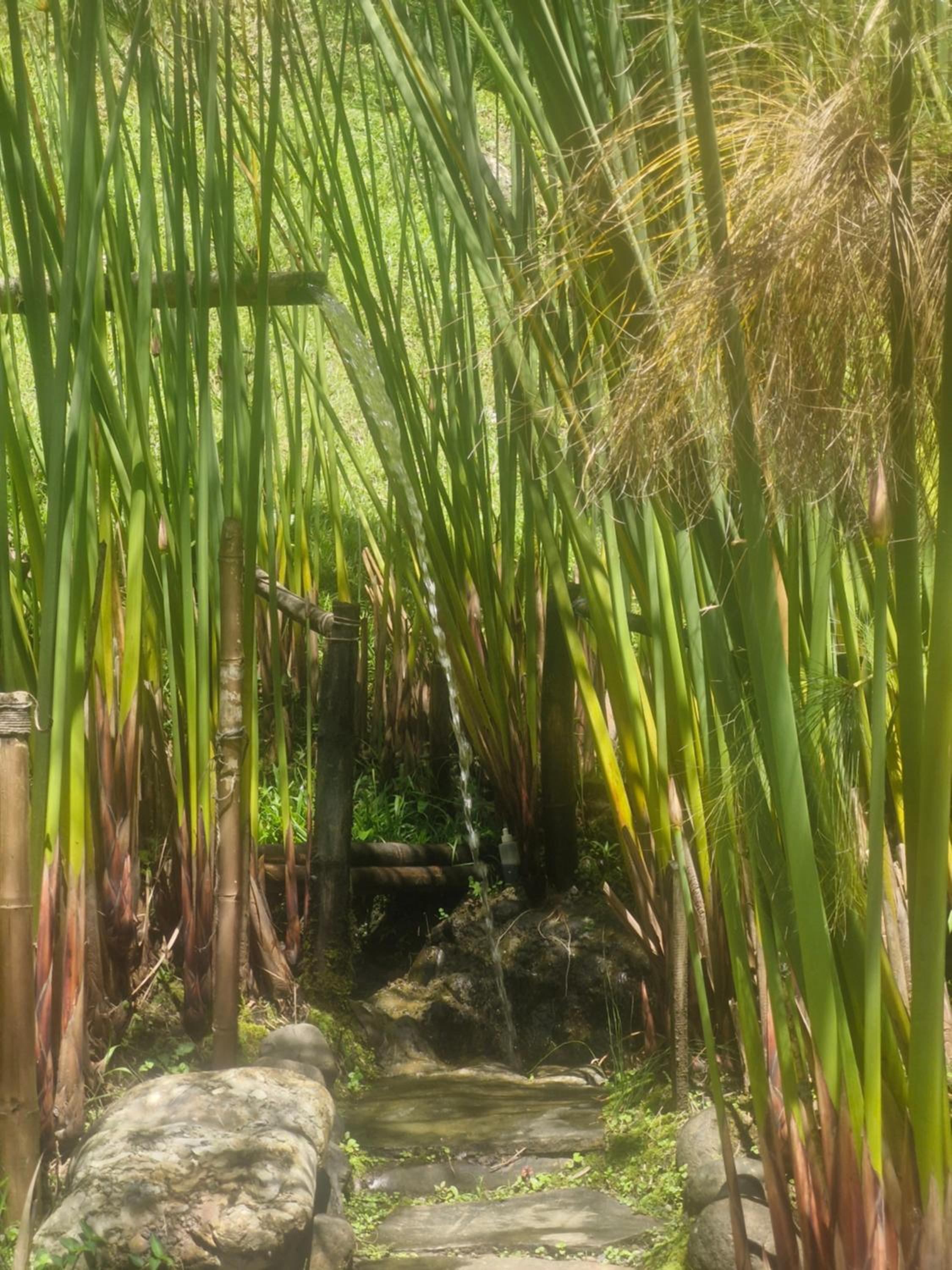 PaloSanto, Casa Rural
