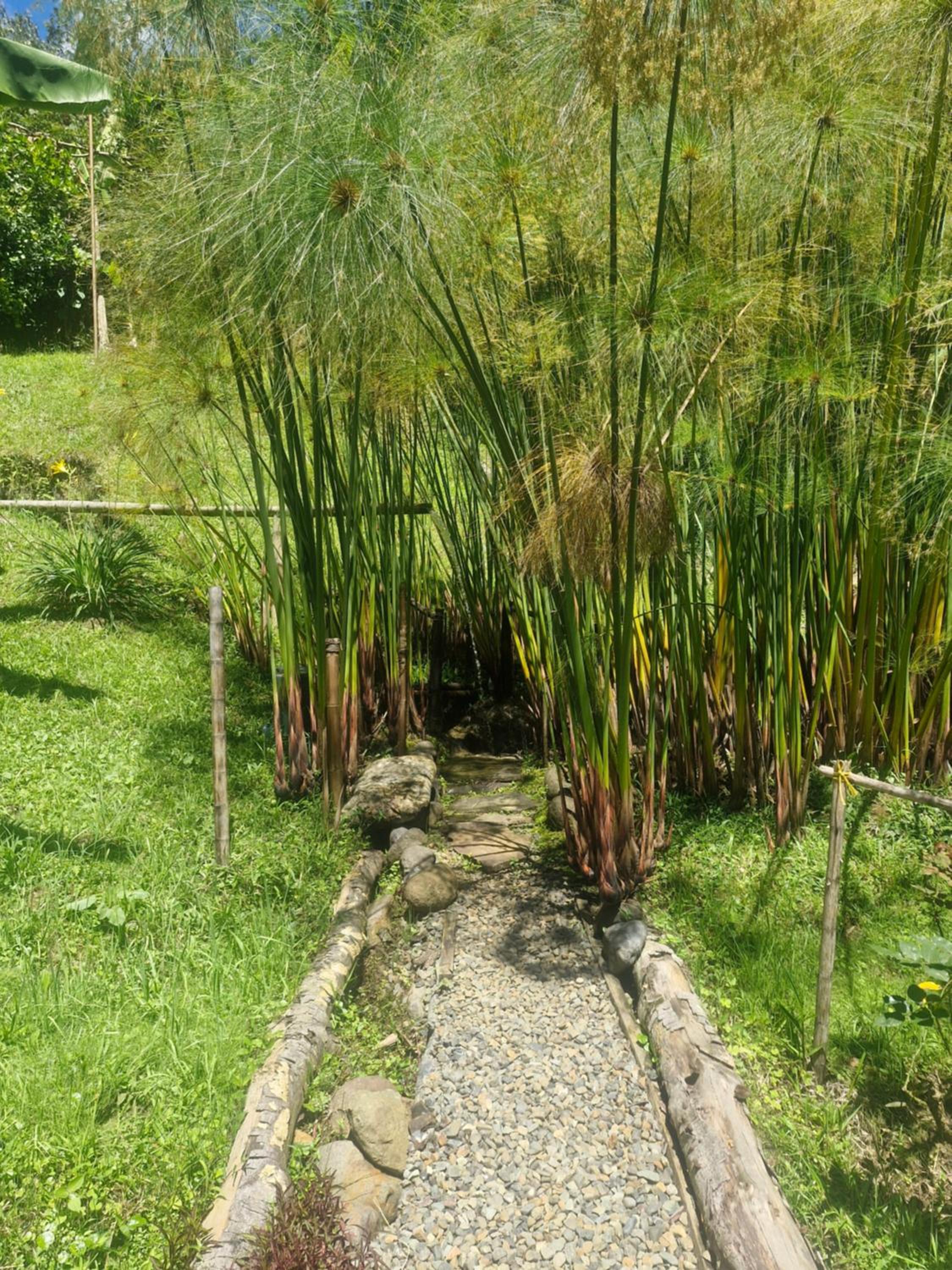 PaloSanto, Casa Rural