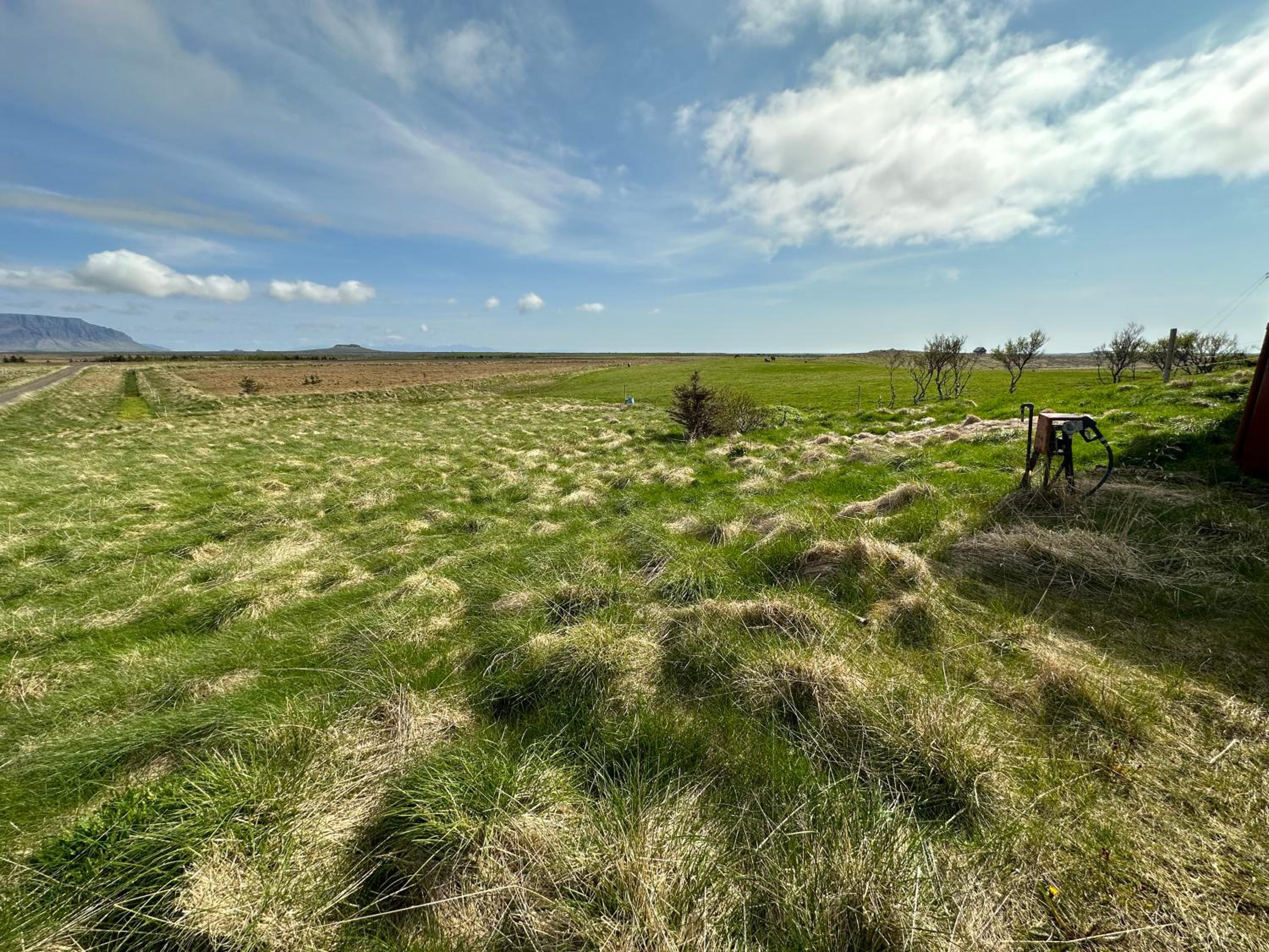 Hrossholt