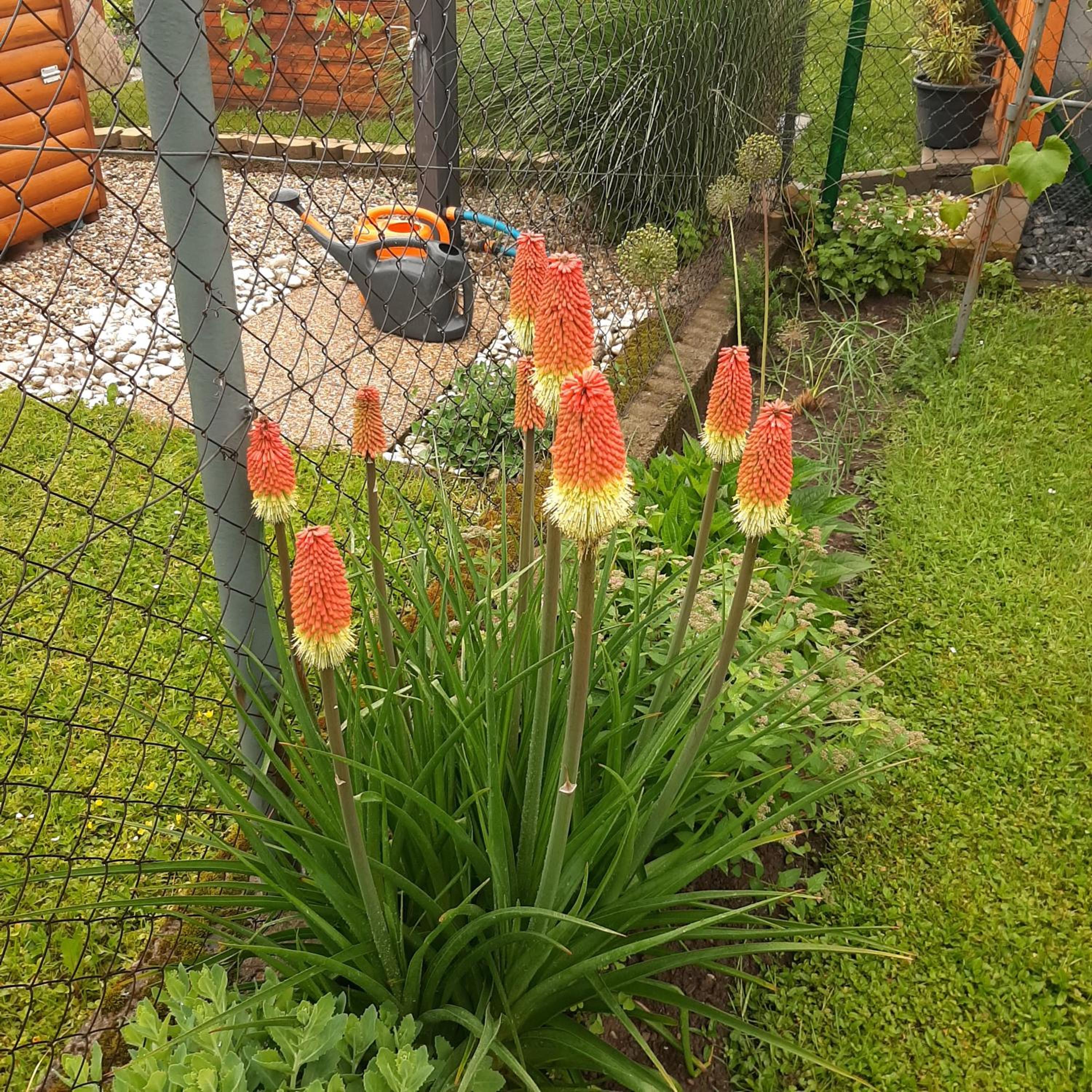 Photo 25