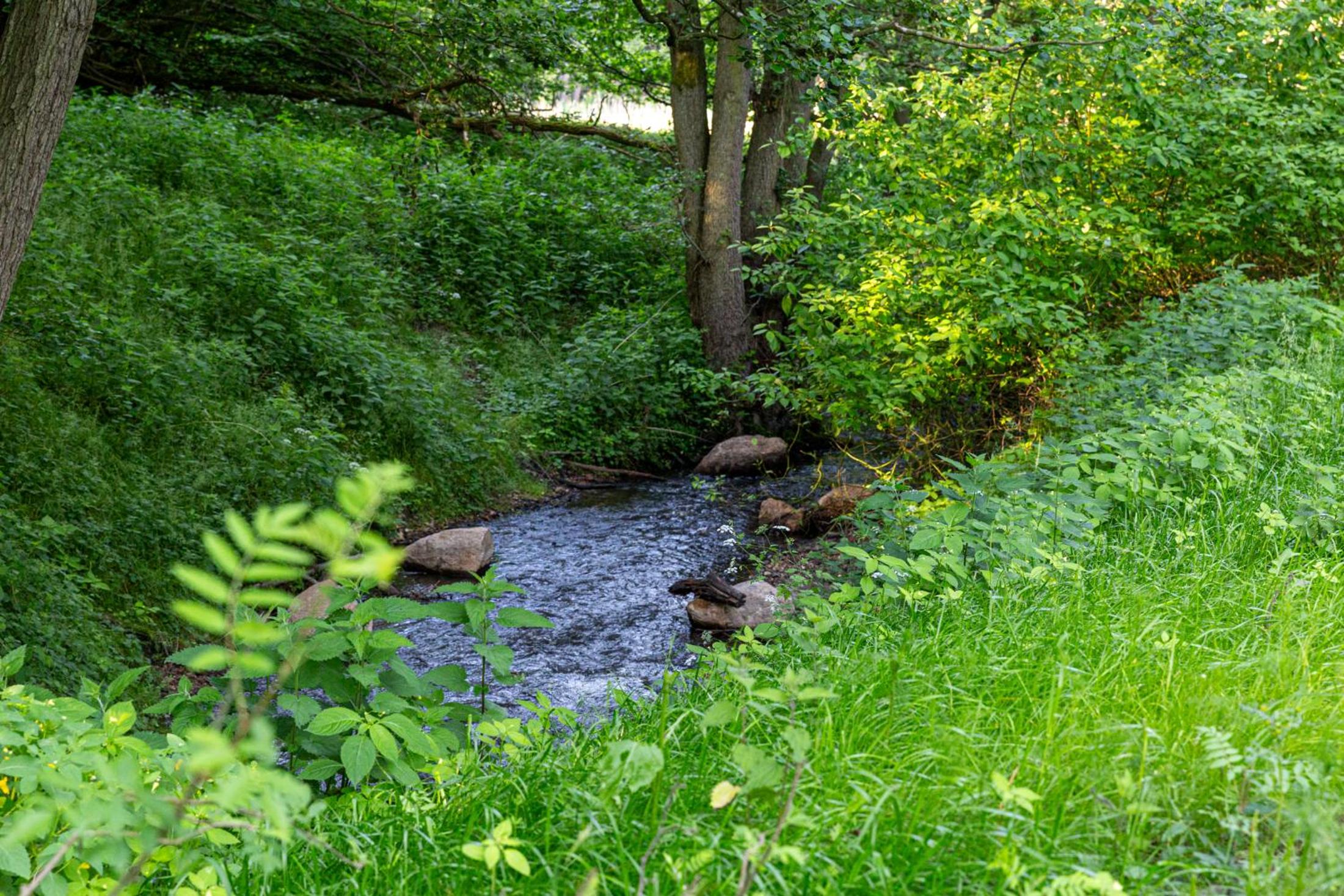 Wellnessparadies mit Sauna und Whirlpool