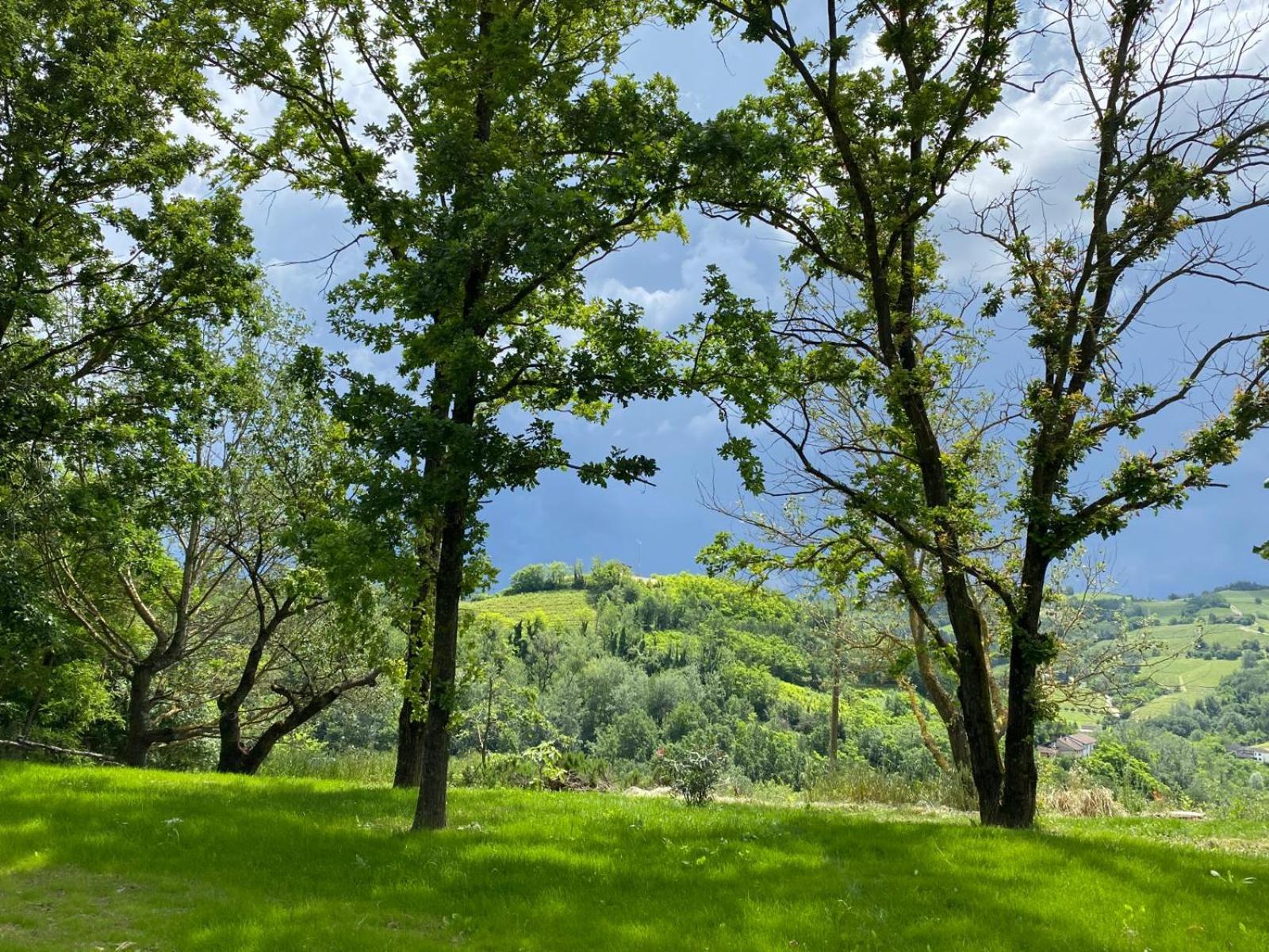 Villa panoramica sulle colline del Monferrato view 2