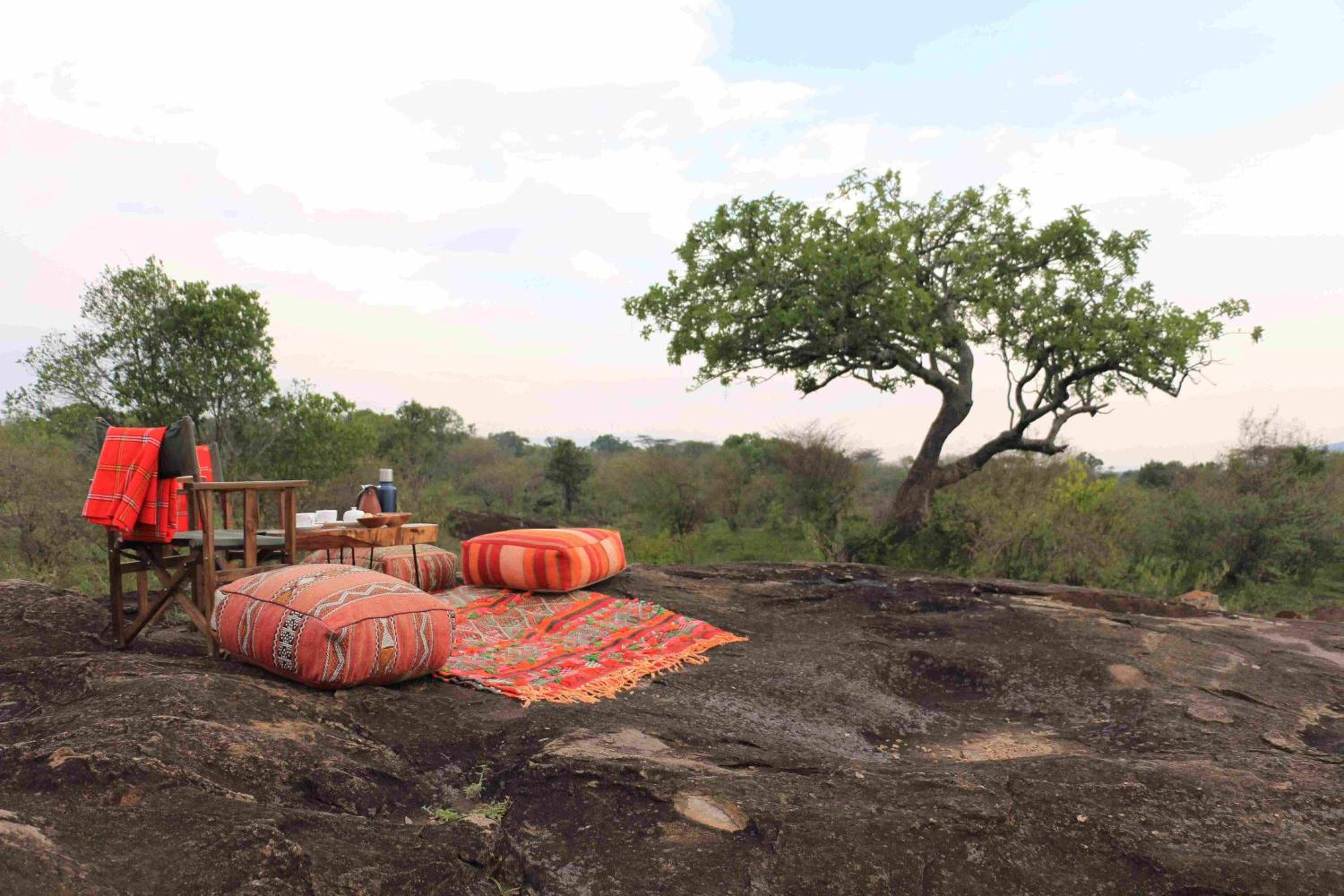 Masai Mara Vacations - Samana Mara - Property Image 3