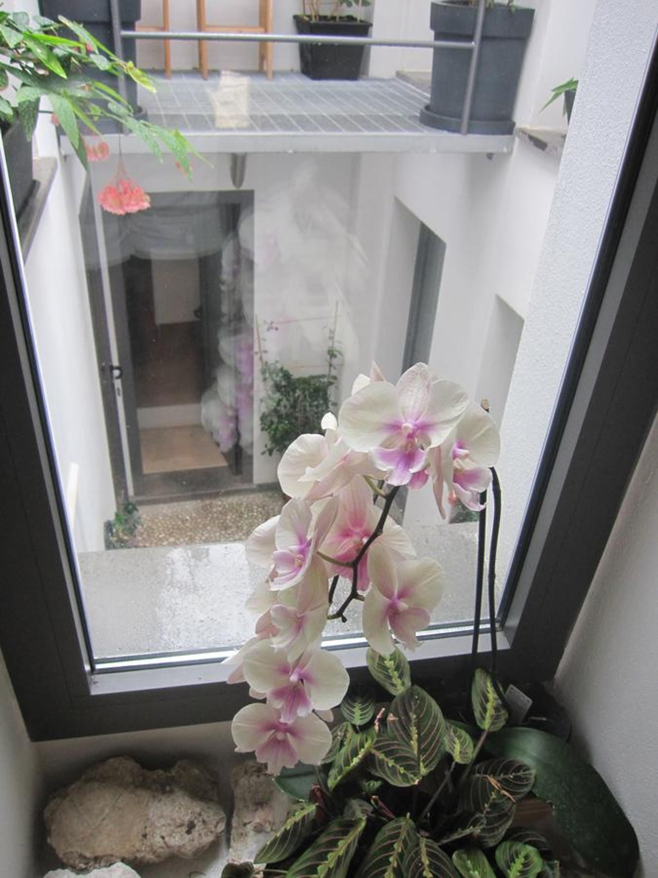 Photo 54