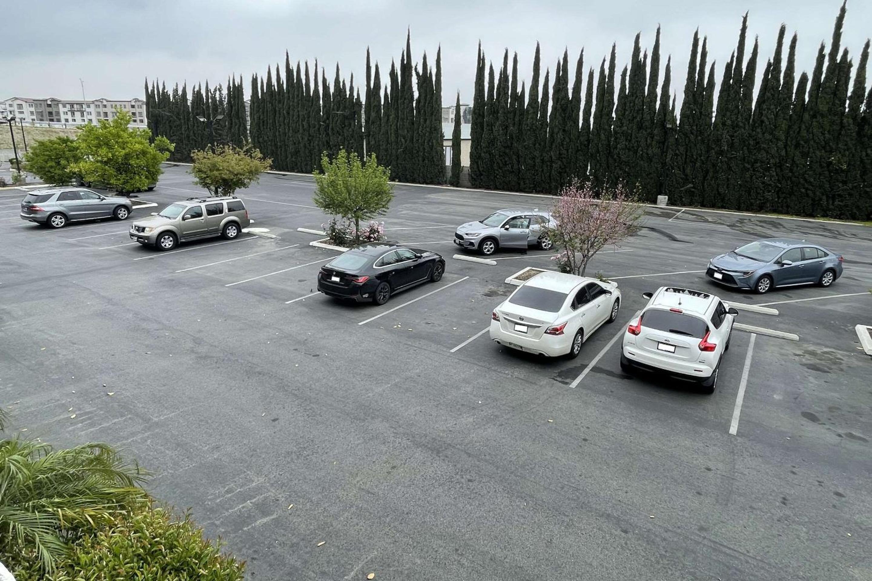 Photo 40