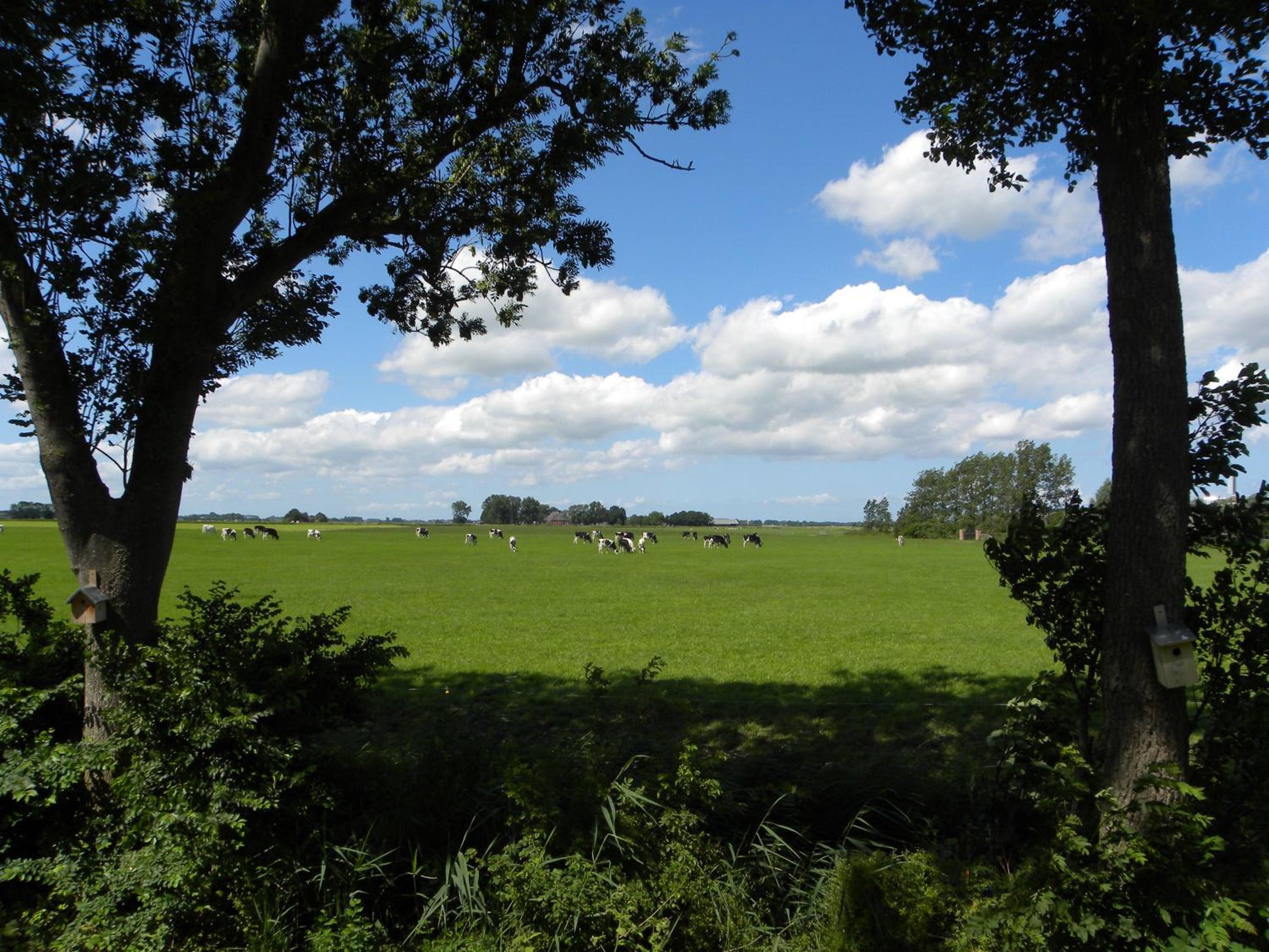 B&b Hoogholtje view 3