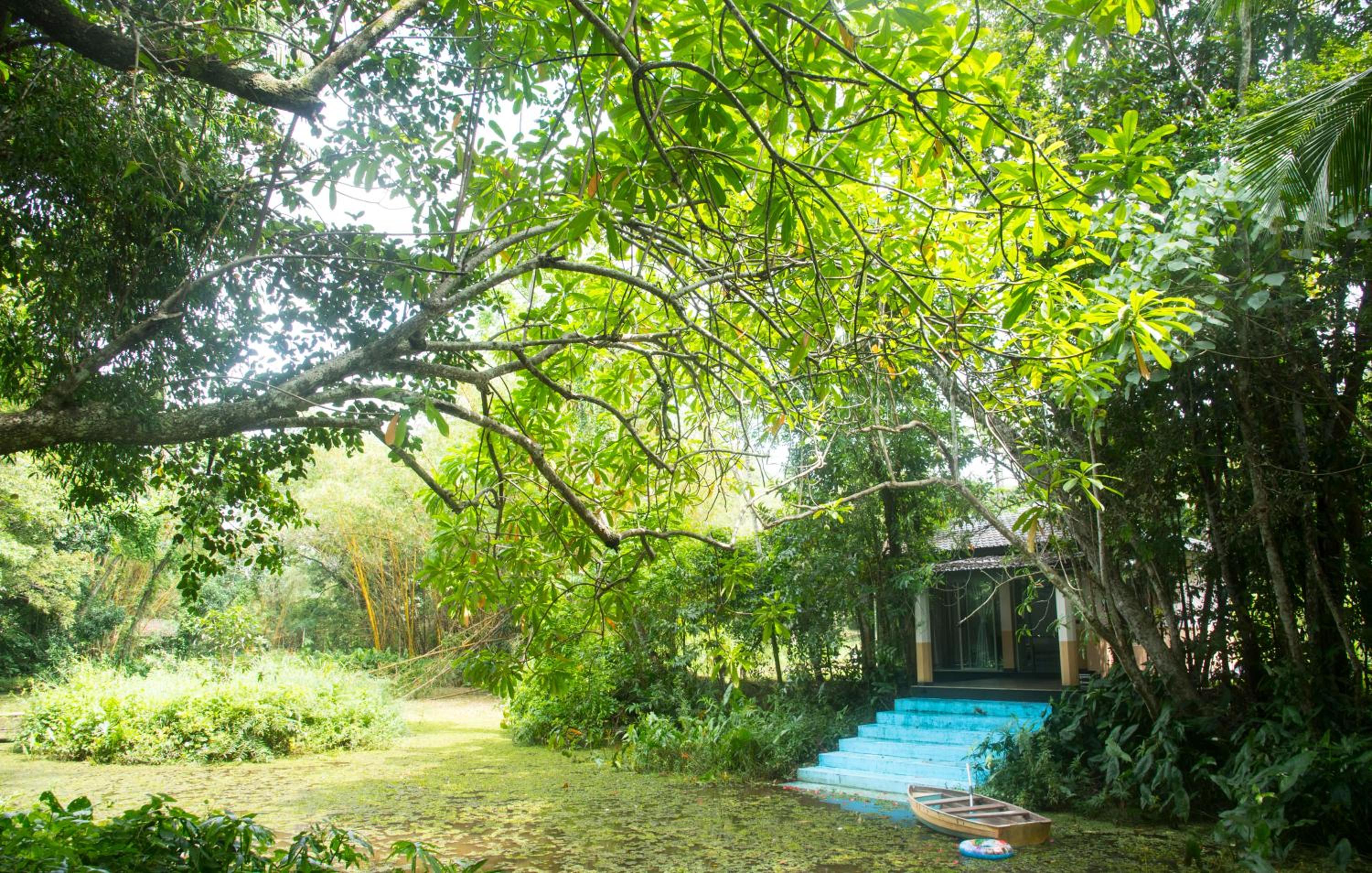 Debaraliyadda Estate