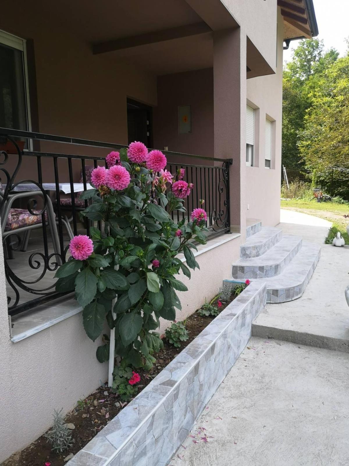 Apartmani Sumska Kraljica view 2
