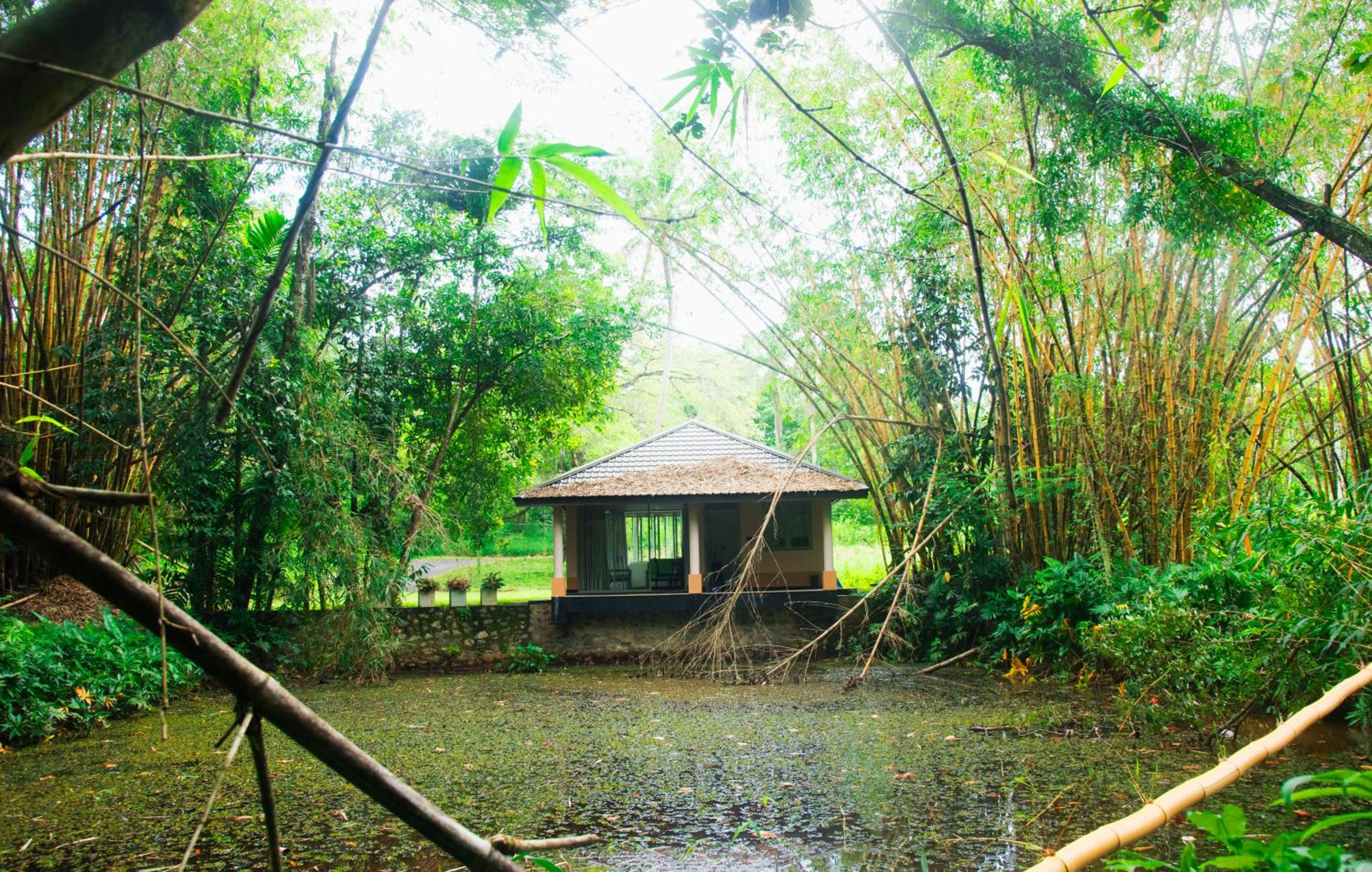 Debaraliyadda Estate