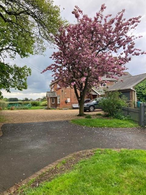 Kings Lynn Vacations - St Mary's Lodge B and B - Property Image 3