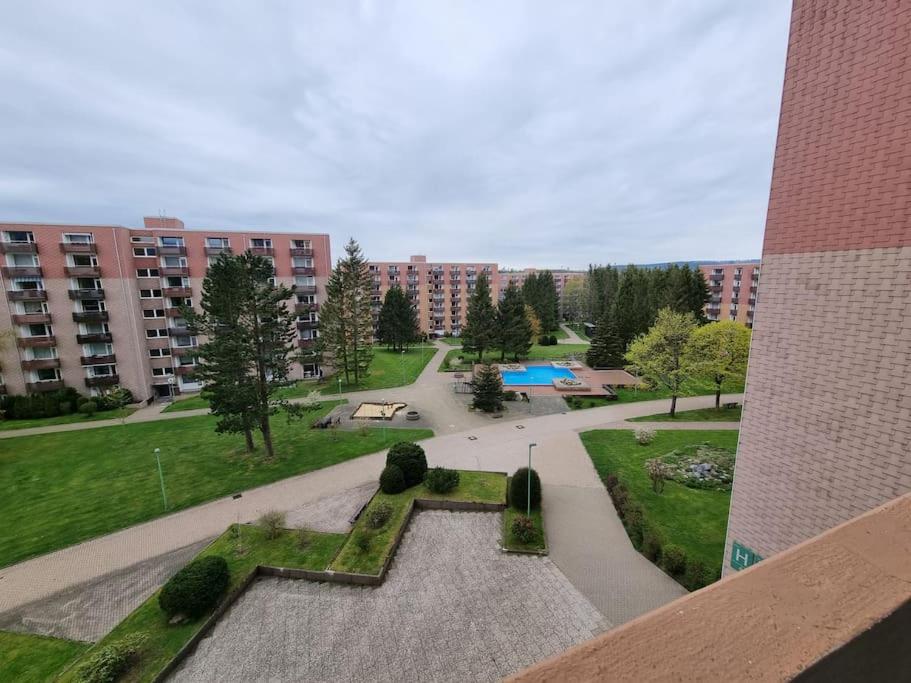 Ferienwohnung Altenau im Harz, Hunde