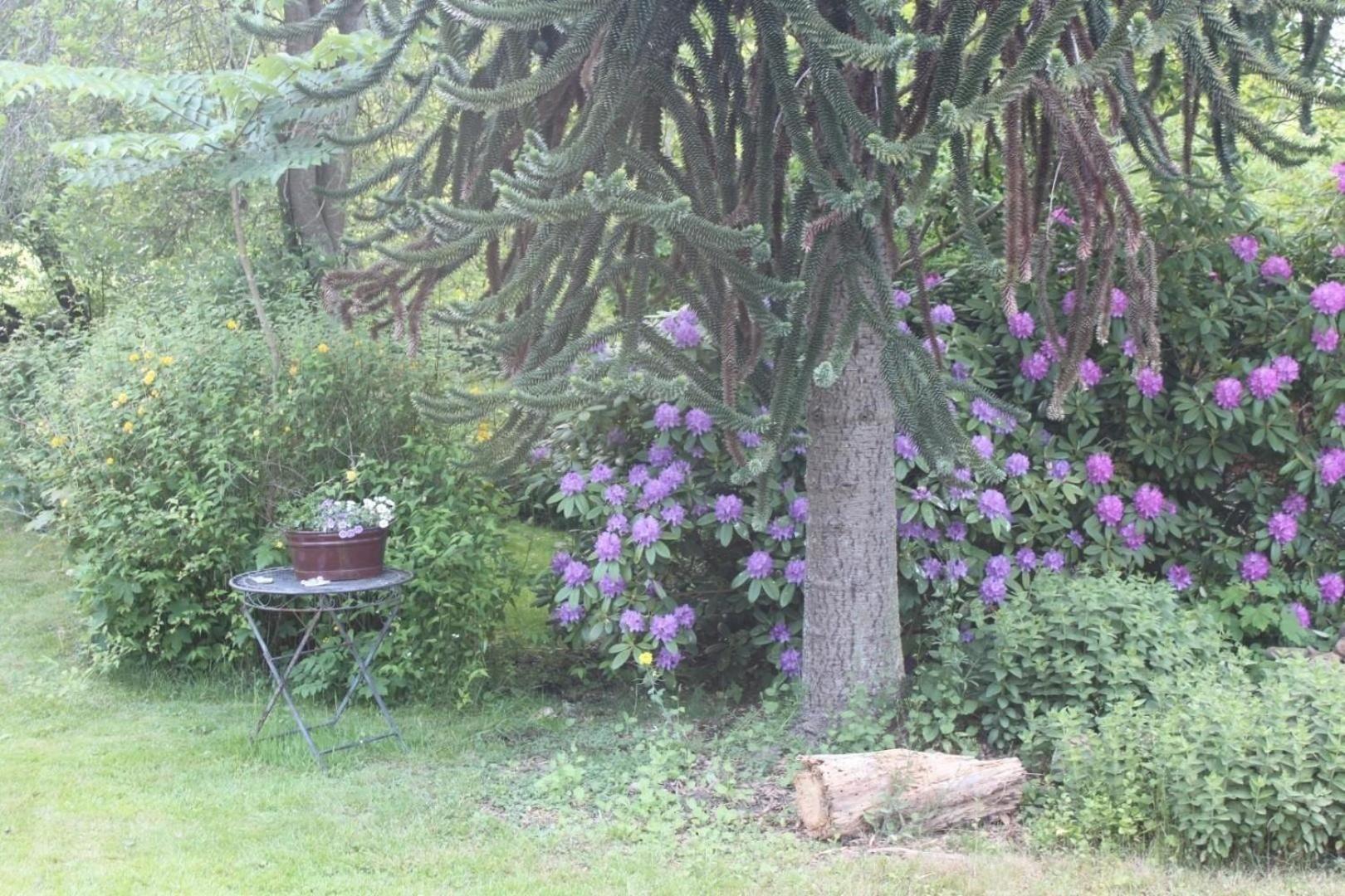 Ferienhaus In Stollhamm Mit Großem Garten