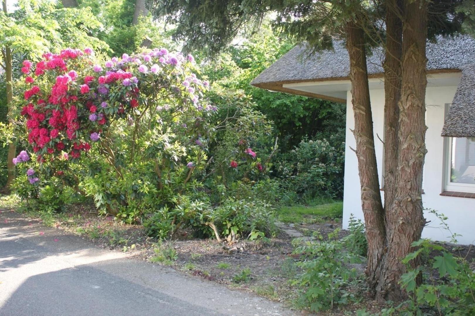 Ferienhaus In Stollhamm Mit Großem Garten