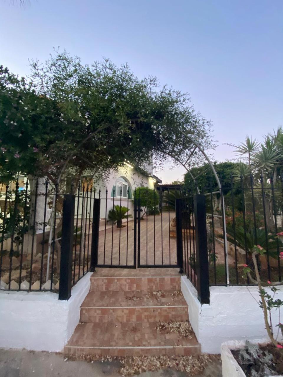 Emilia Villa