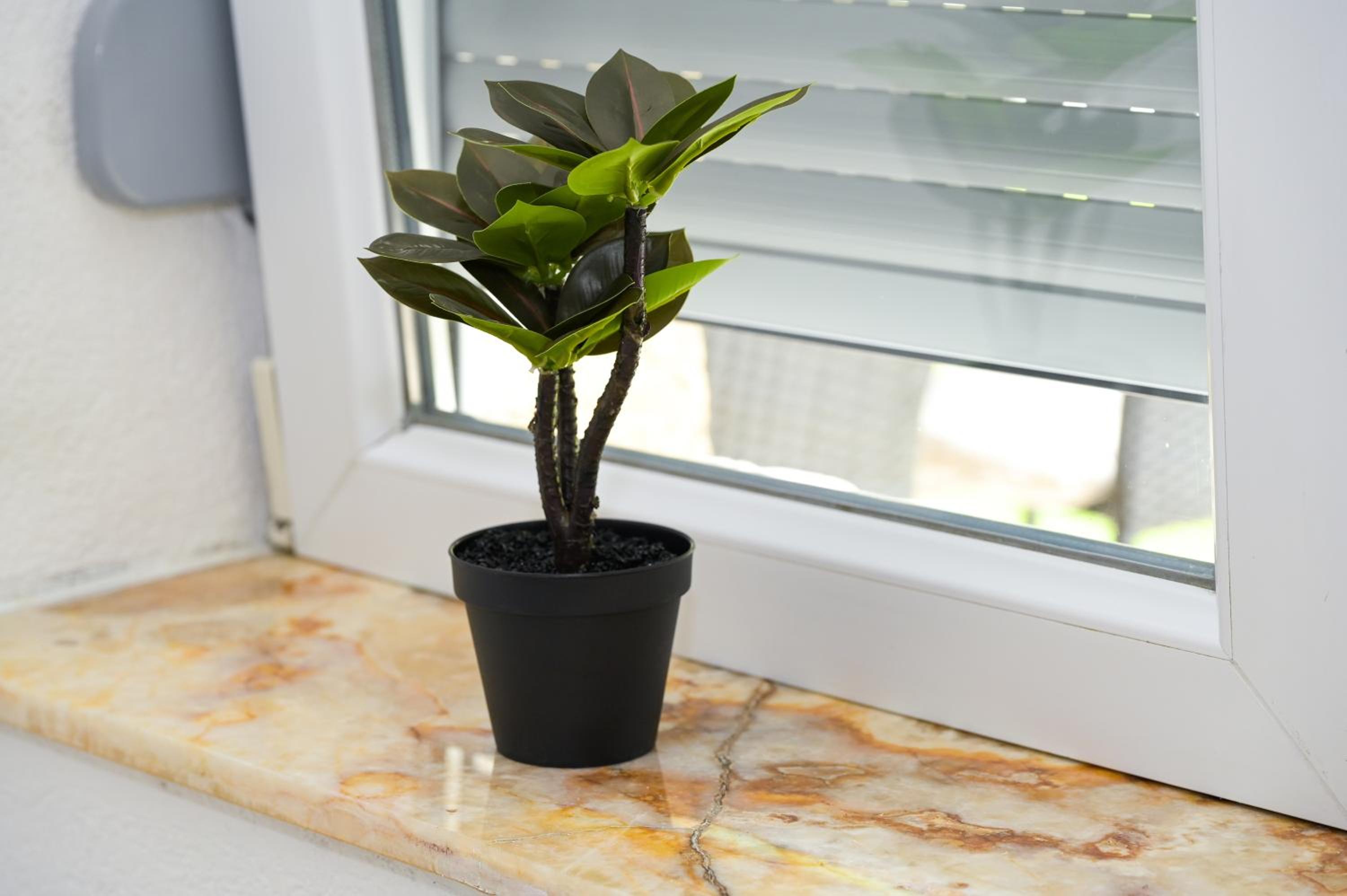 Apartman Kiko