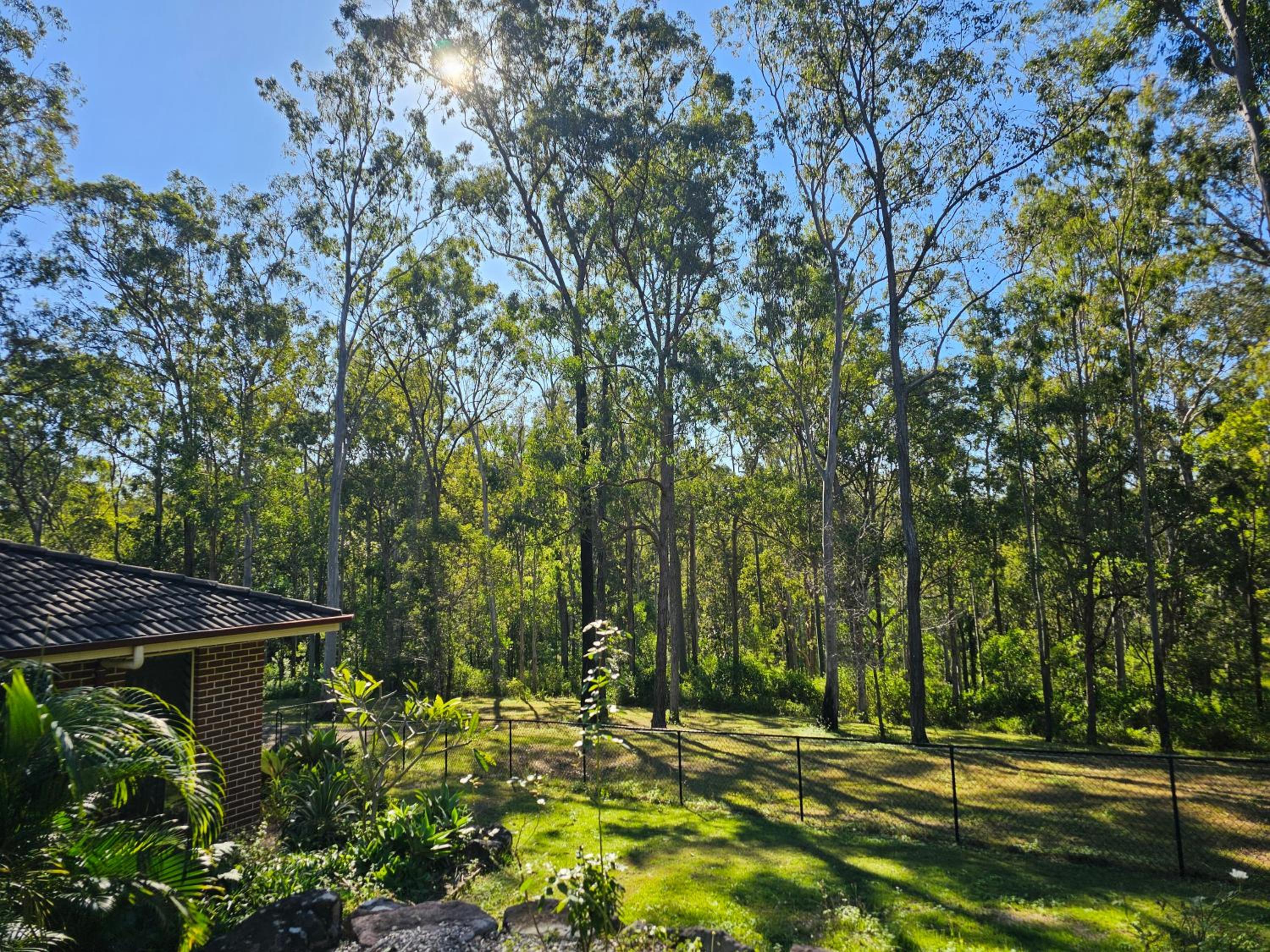 Paradise