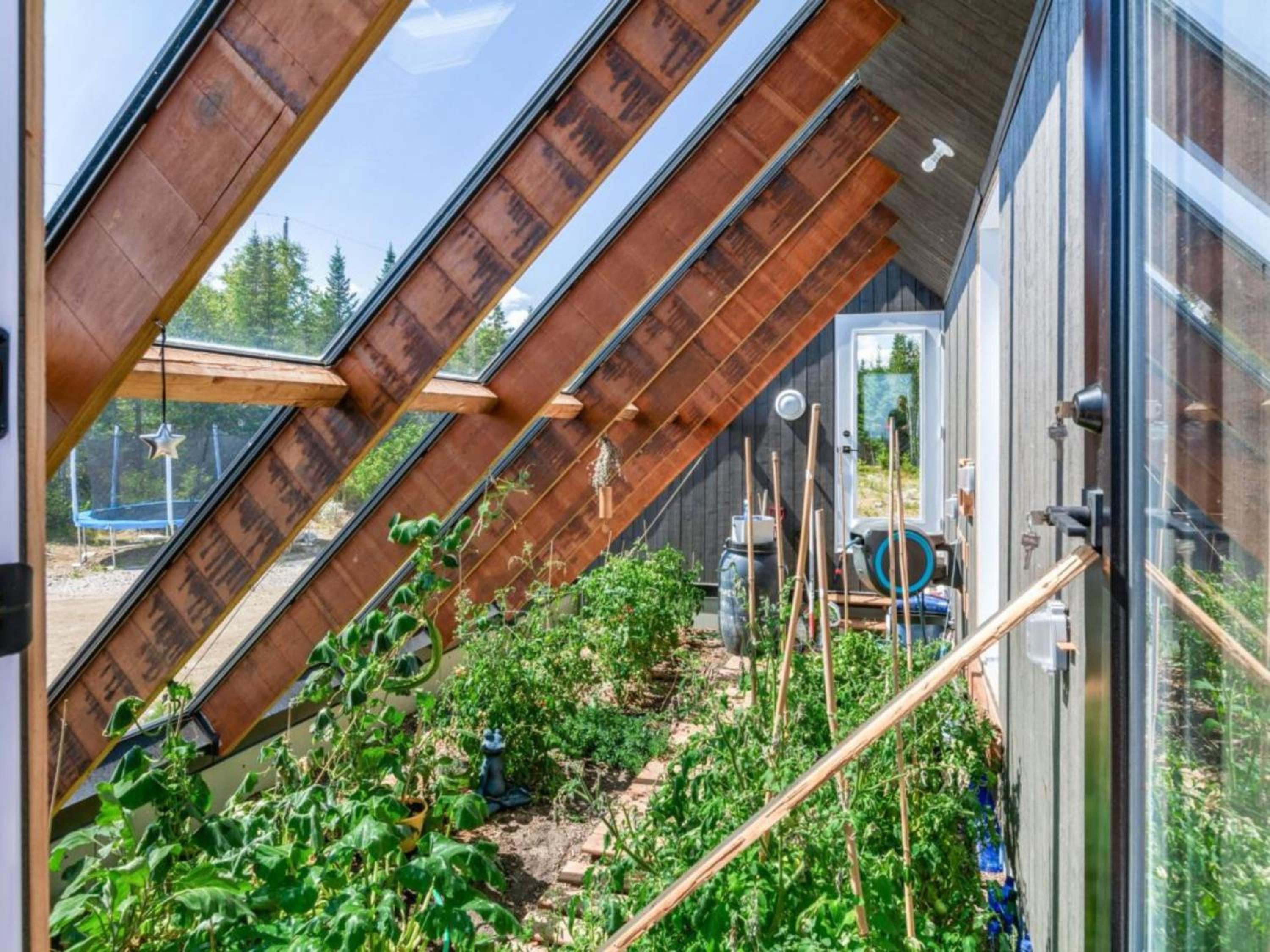 Maison contemporaine en pleine nature