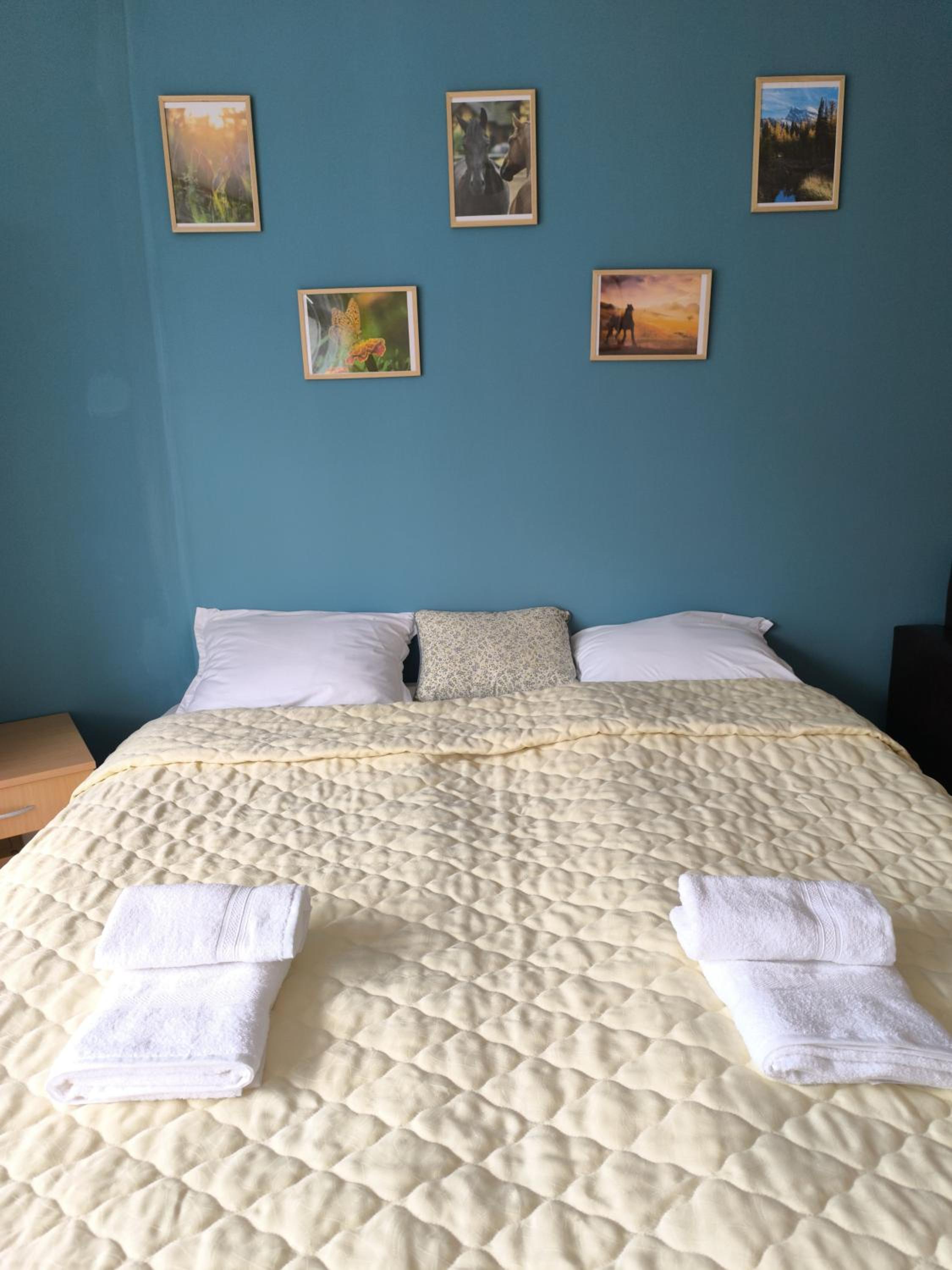 Cozy nature stay, free Bottle of good Wine, Great view, free Parking