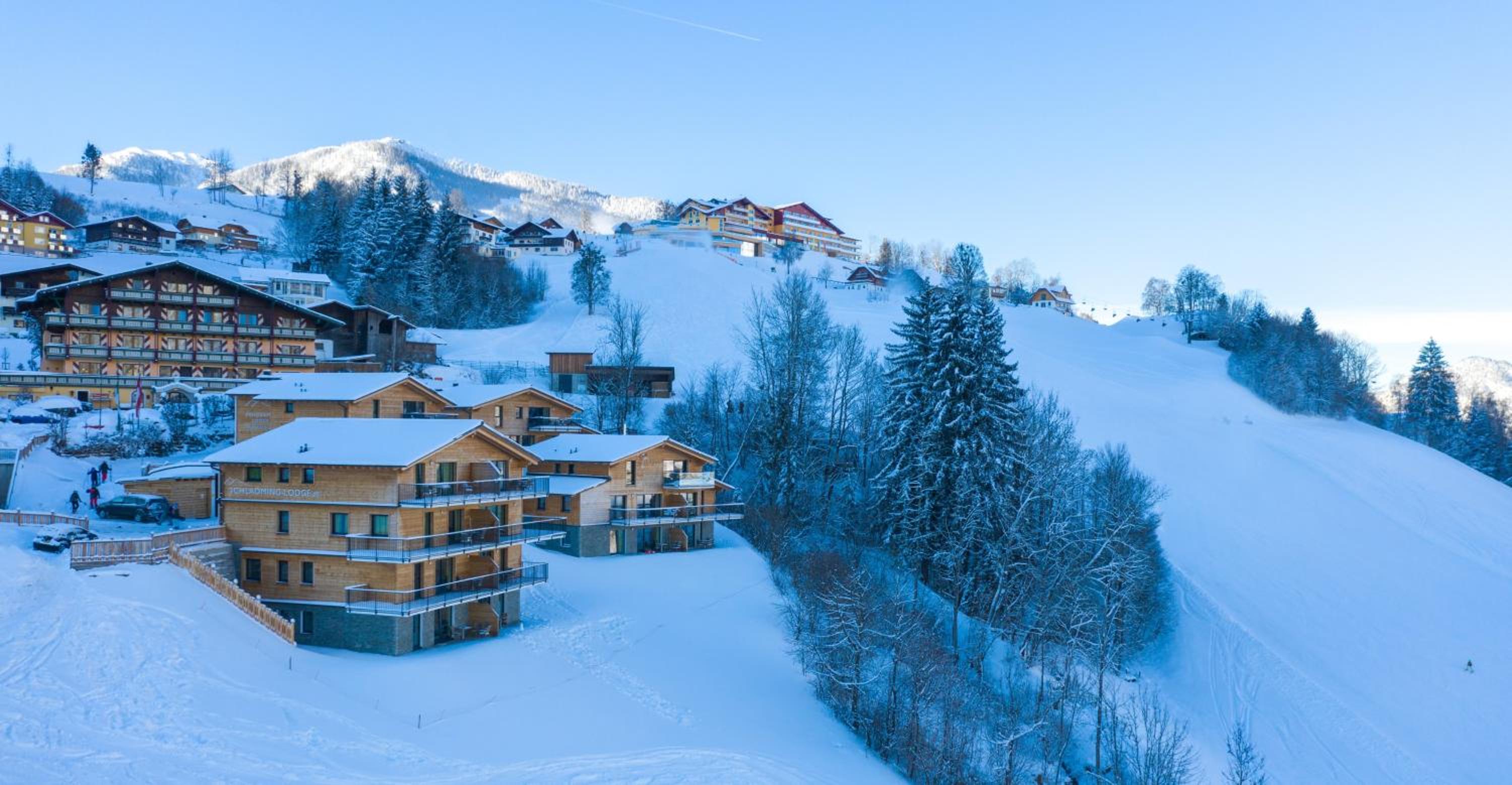 Panorama Lodge Premium Apartments