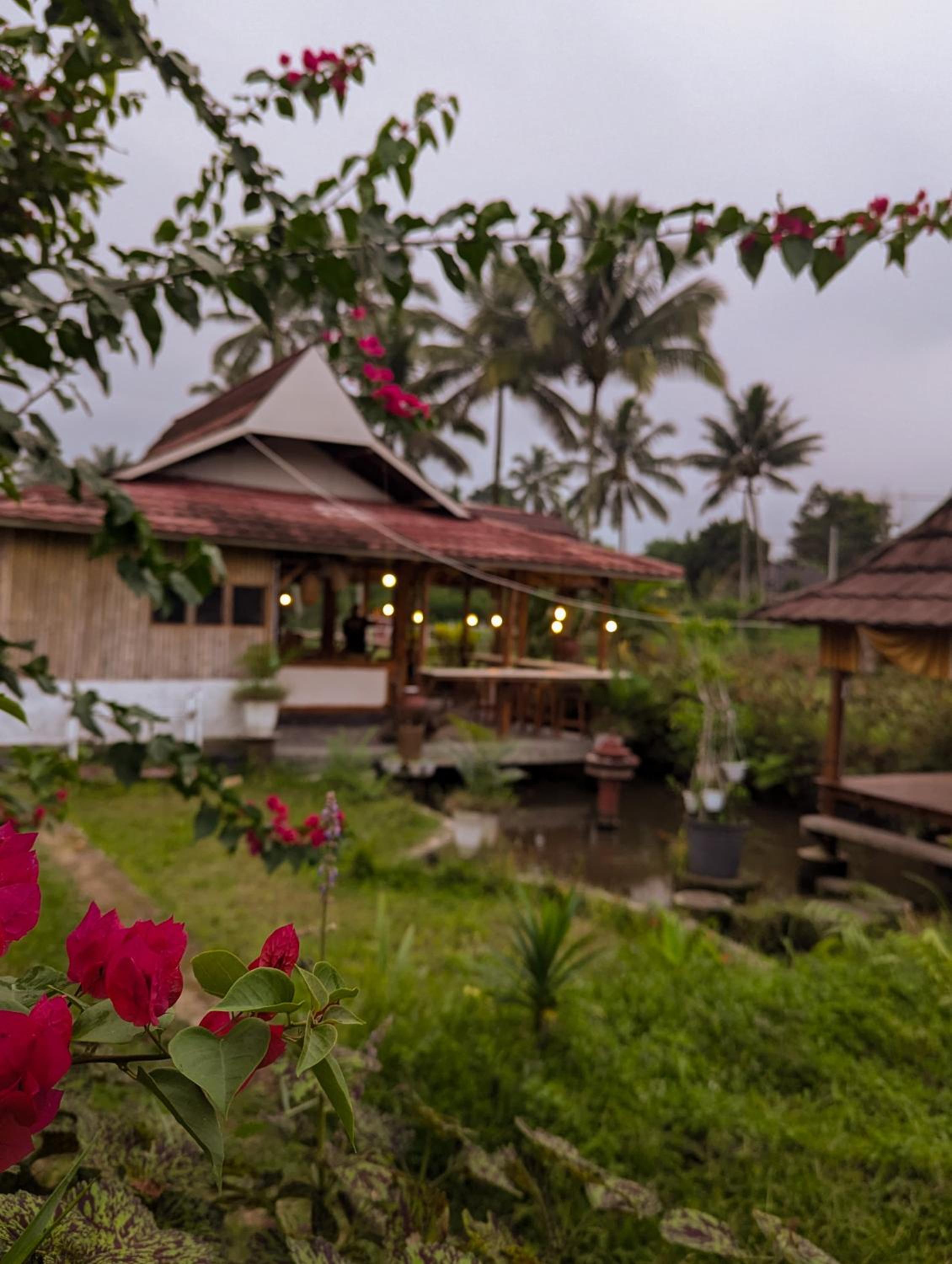 Linkgreen Homestay Lombok view 5