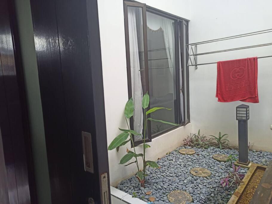 Rumah Besar dg Kolam Ikan diKota