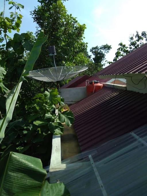 Rumah Besar dg Kolam Ikan diKota