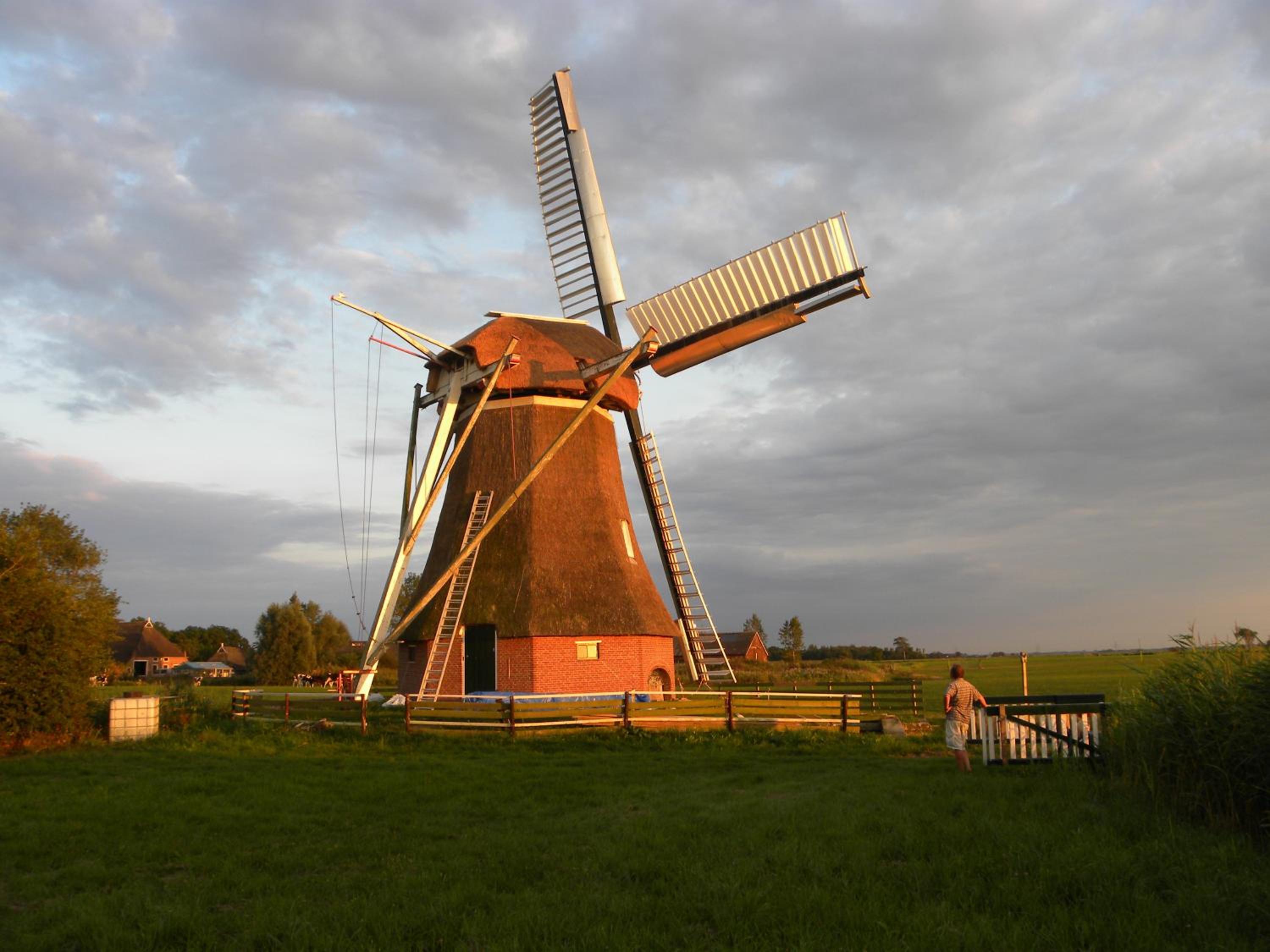 B&b Hoogholtje view 5