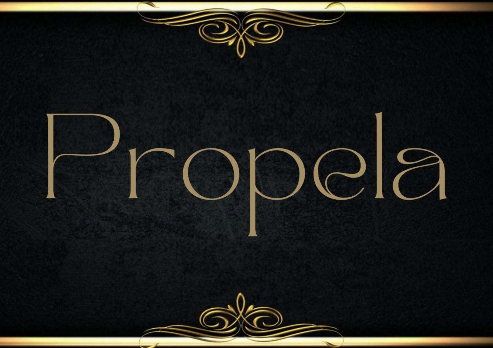 Propela apartment photo 5