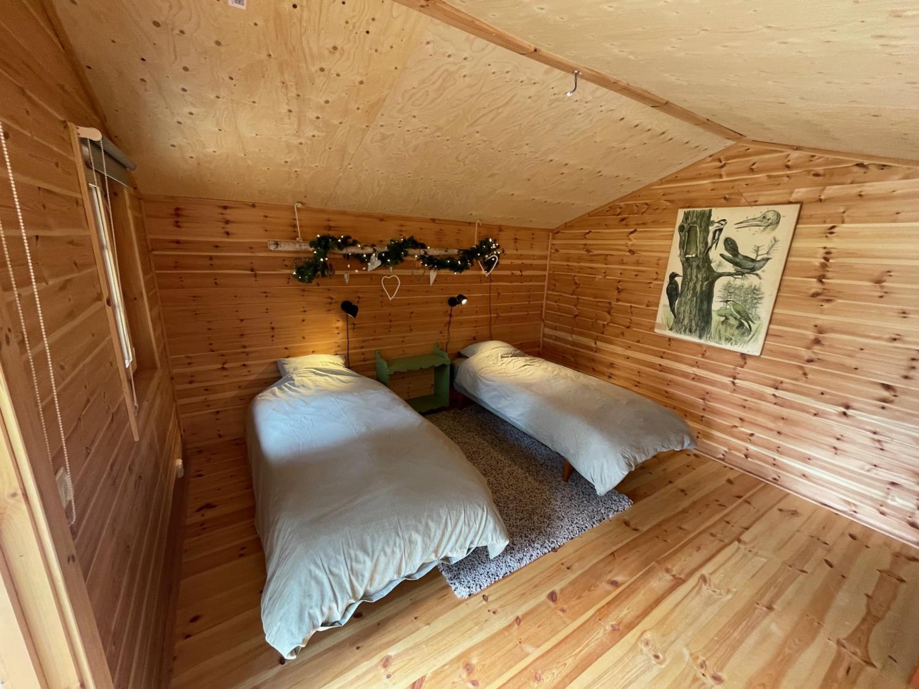 Cabin in the Woods view 4
