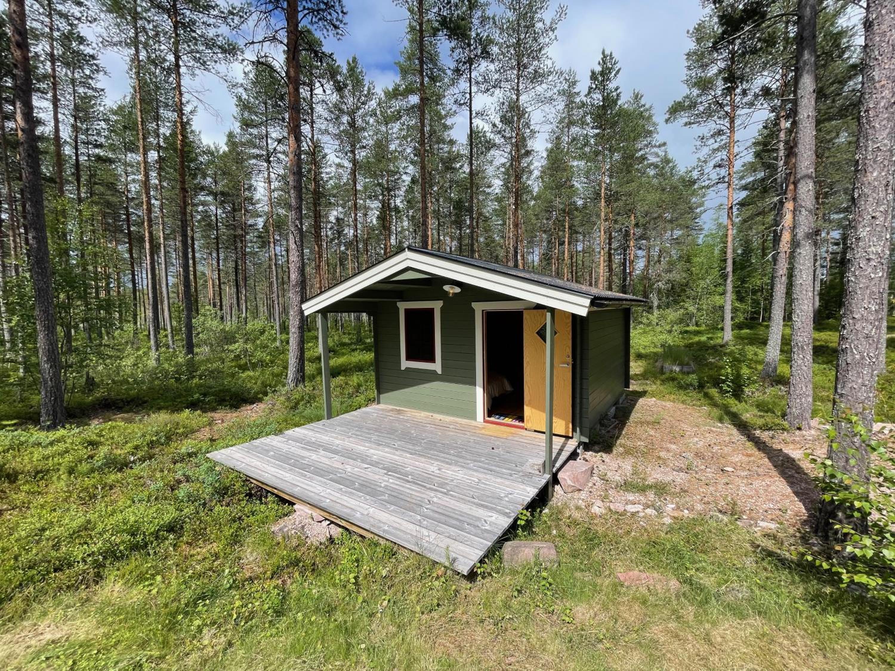 Cabin in the Woods view 3