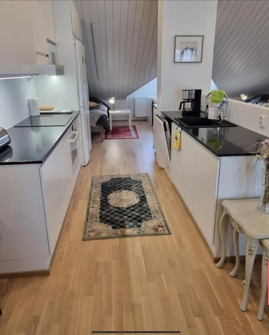 Uniikki kattohuoneisto ydinkeskustassa, lämmin pysäköinti, max 6 hlöä