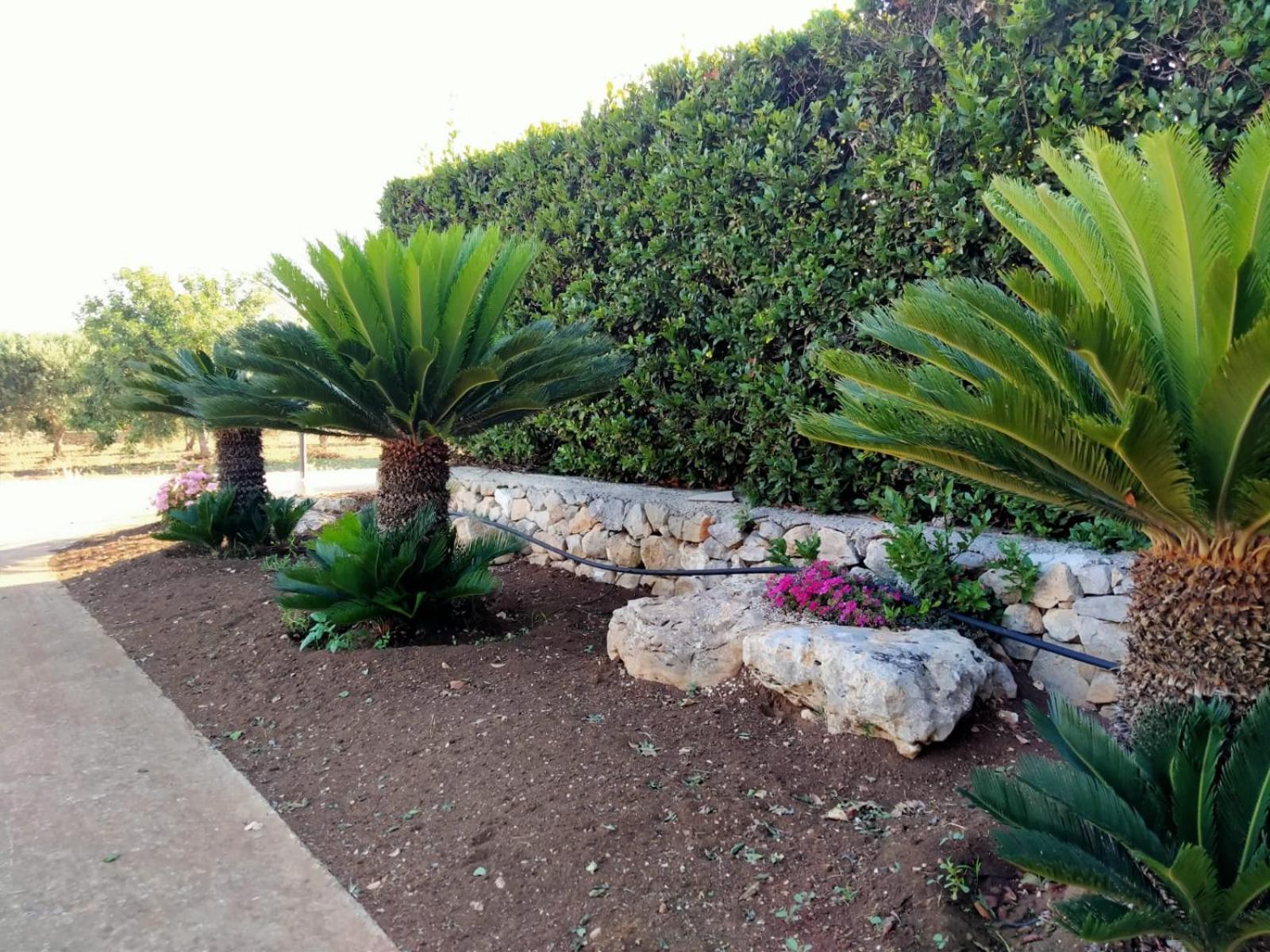 Casa Donna Razietta - Natura e relax photo 5