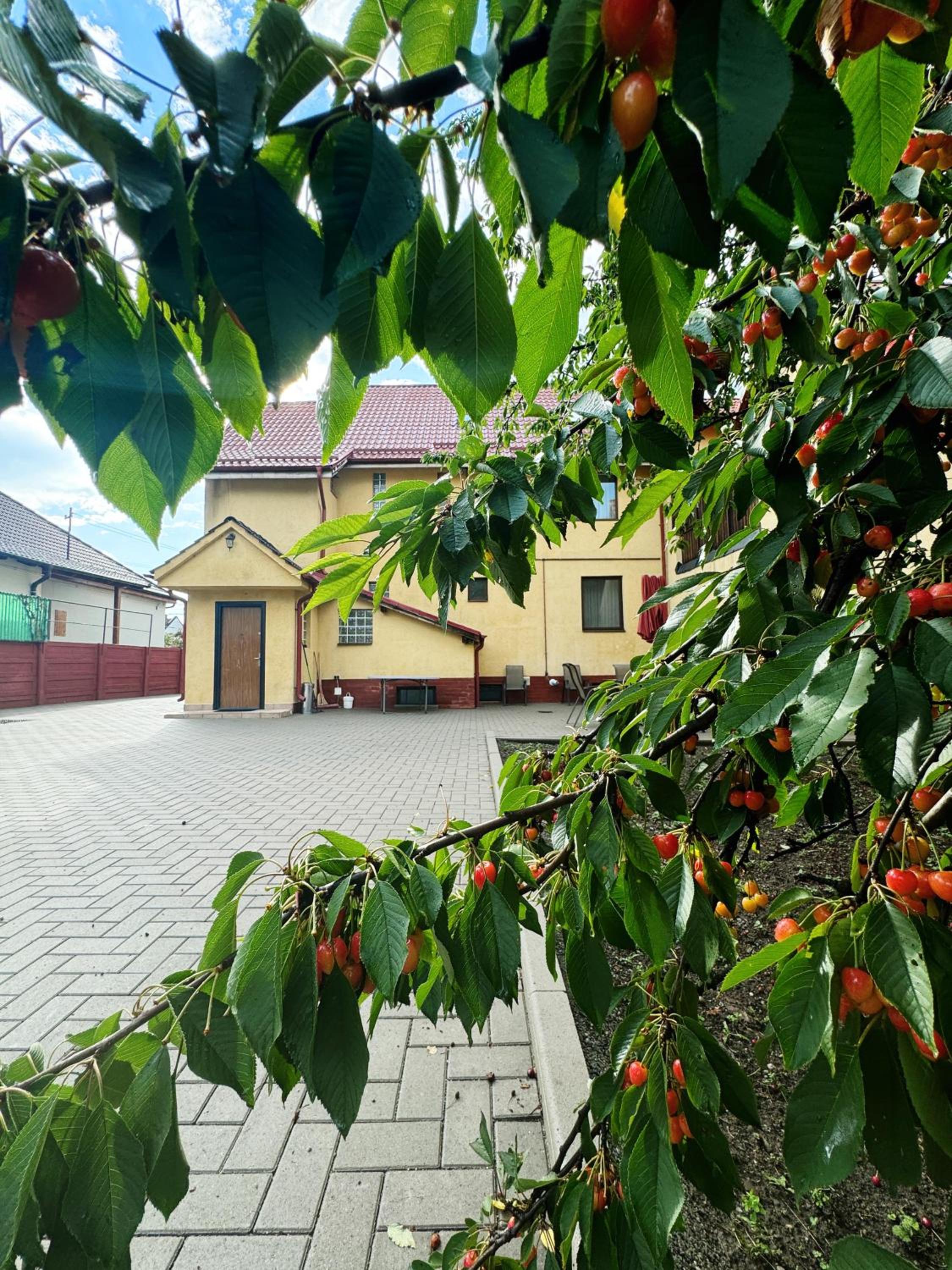 Photo 34
