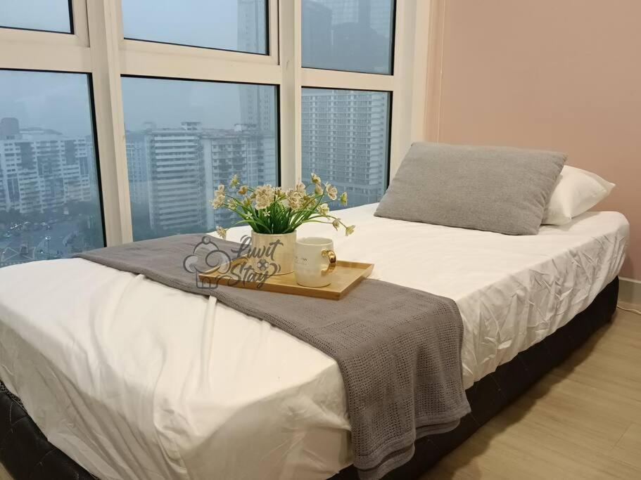 Cozy Suite to NEXUS n LifeCare Med