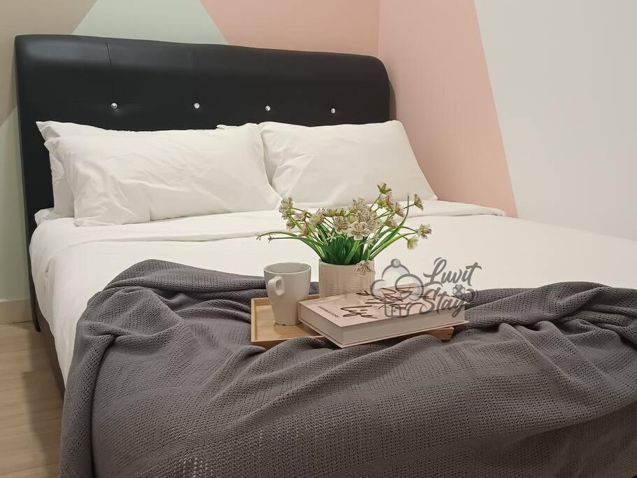 Cozy Suite to NEXUS n LifeCare Med
