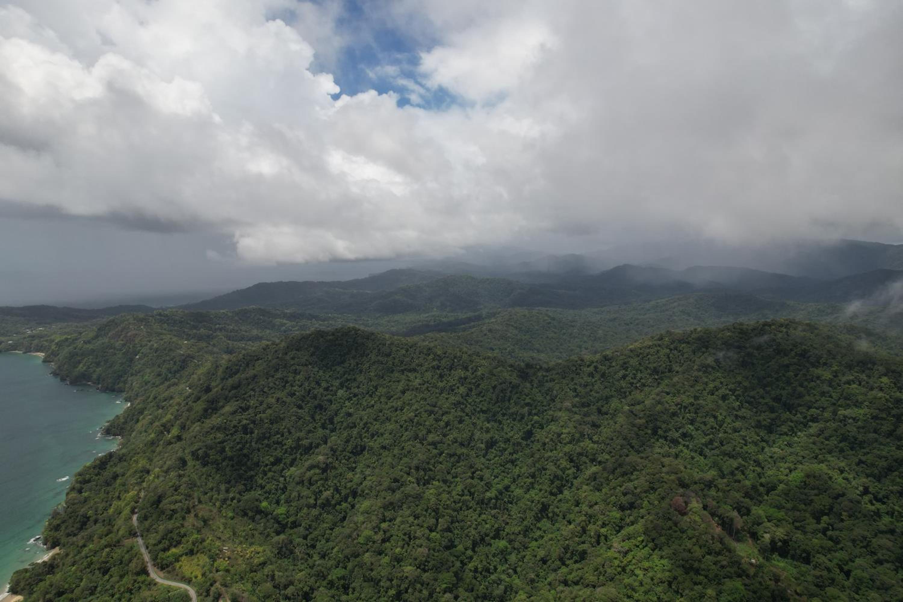 Las Cuevas Beach Lodge
