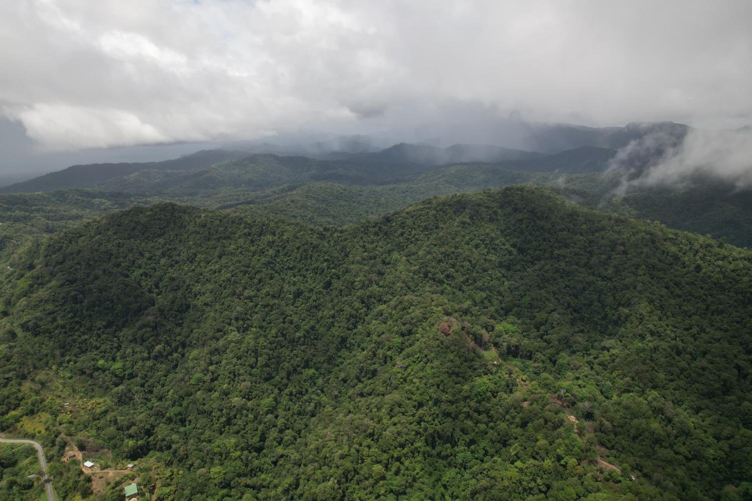 Las Cuevas Beach Lodge