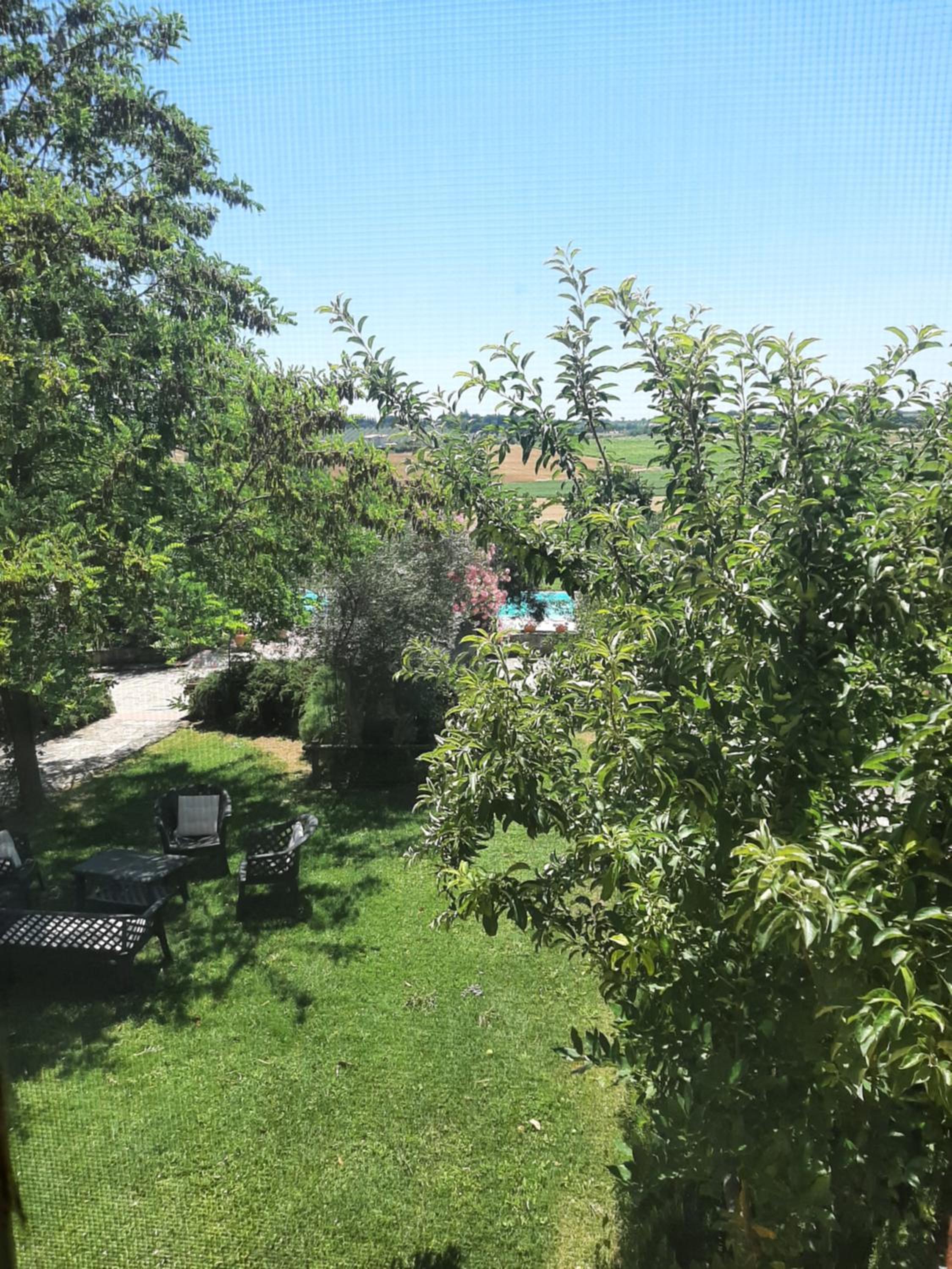 Agriturismo il Mandorlo view 5