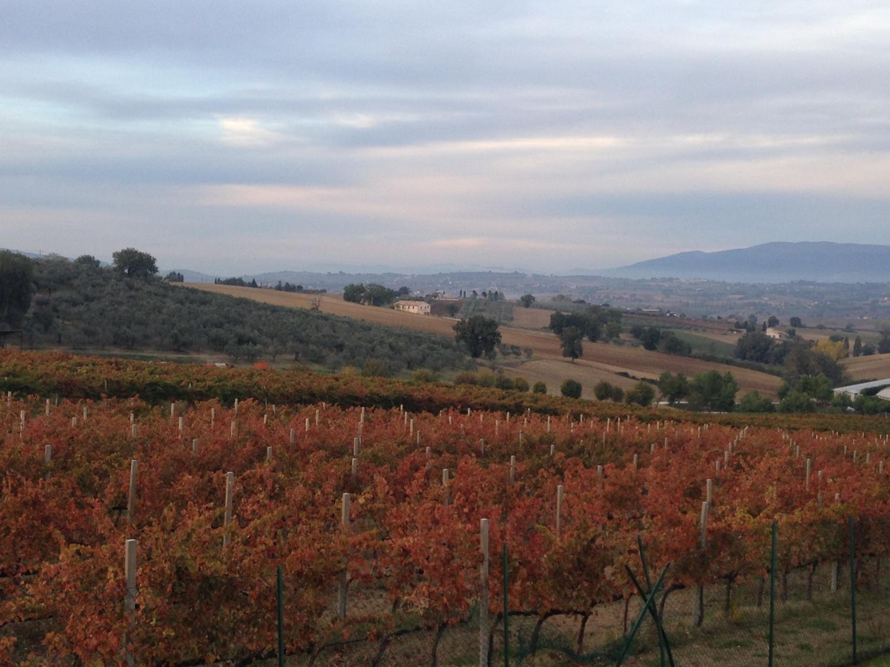 Agriturismo Il Mulino del Vescovo