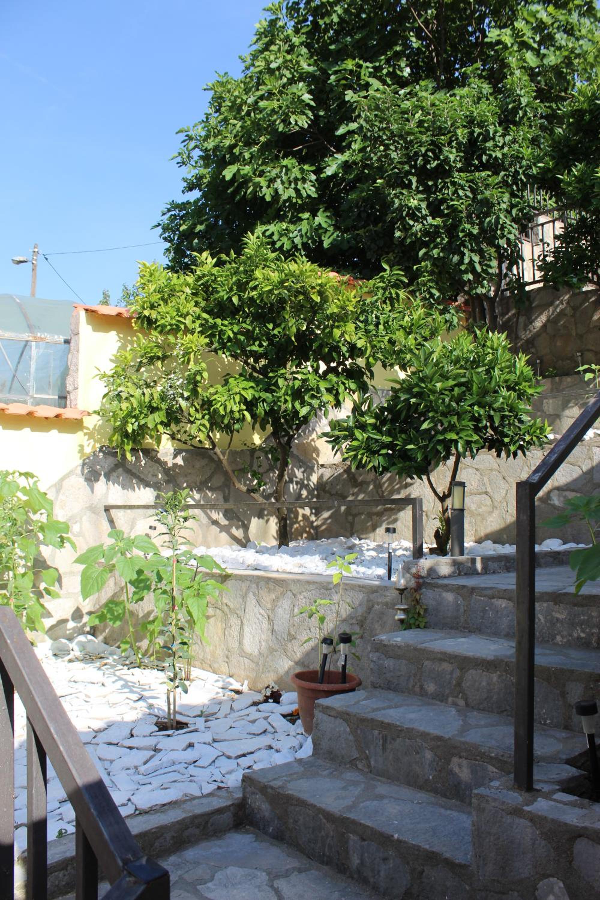 Mostar House